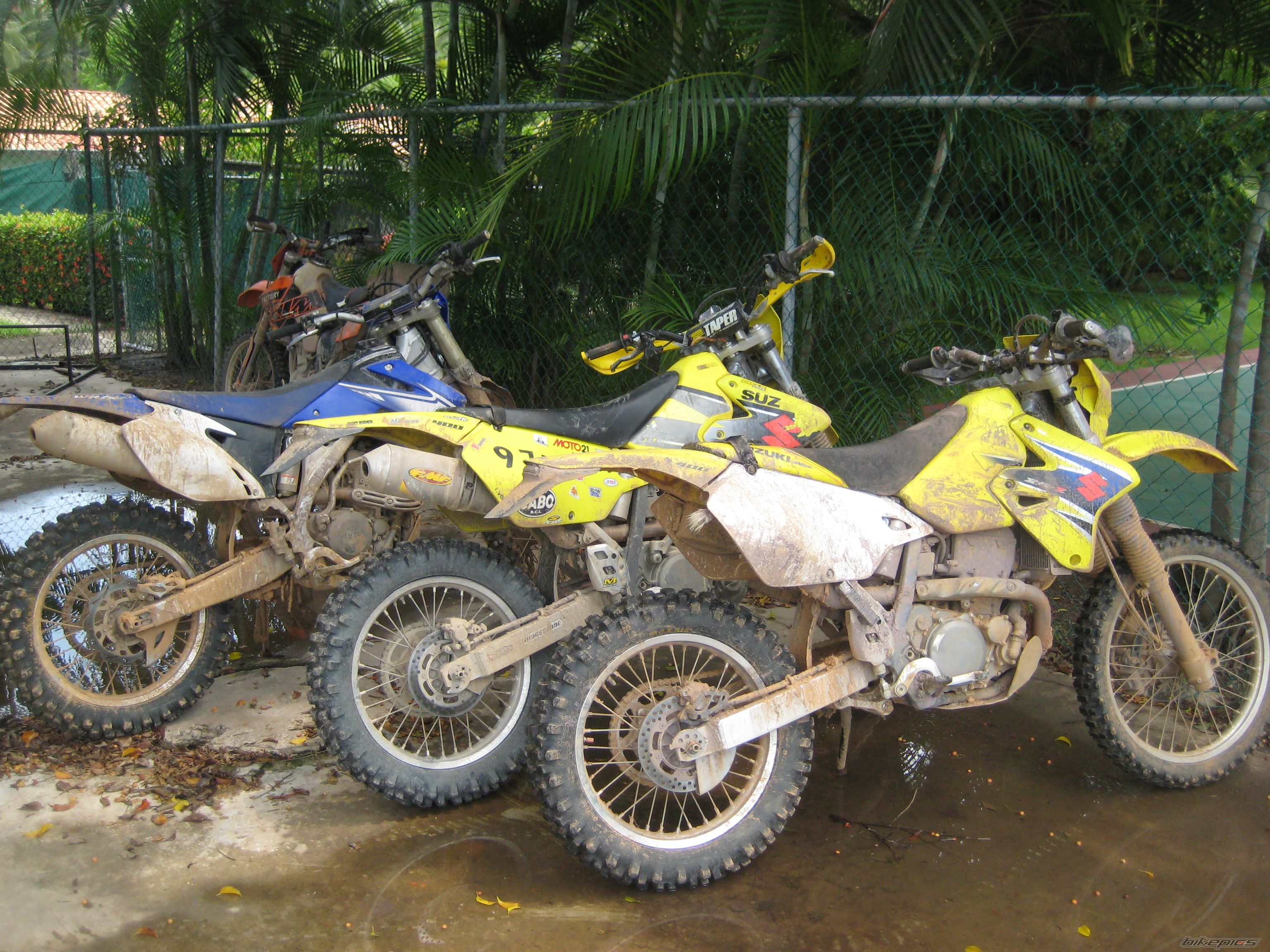 Photo 2447877