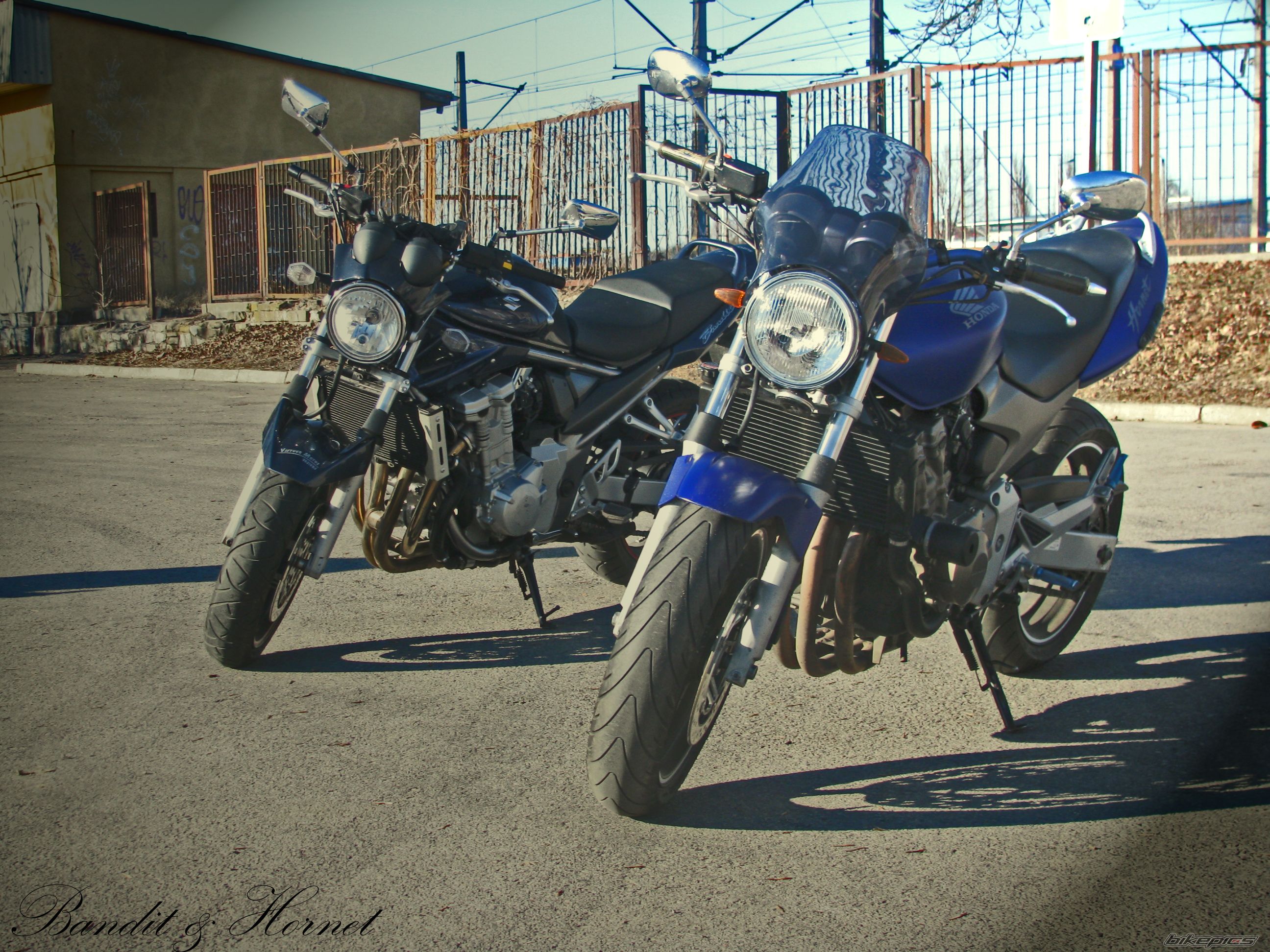 Photo 2448090