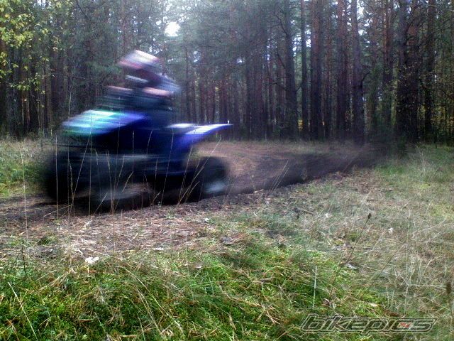 Photo 2448115