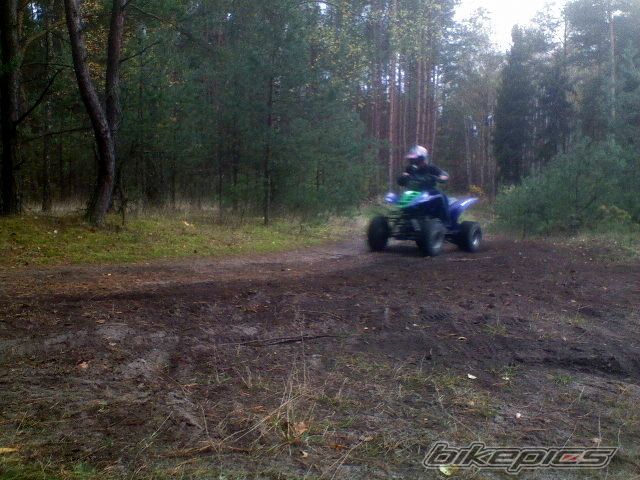 Photo 2448117