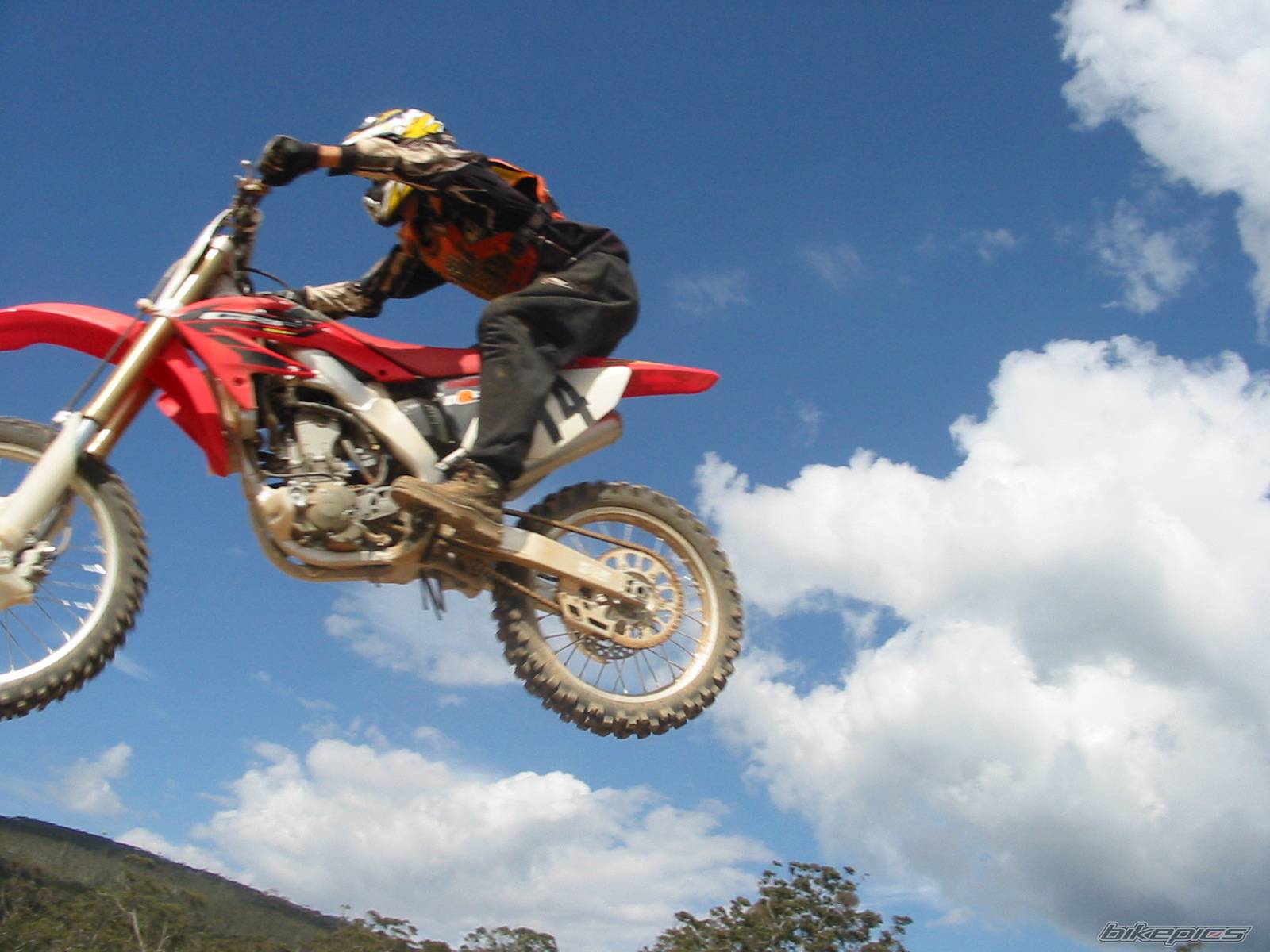 Photo 244814