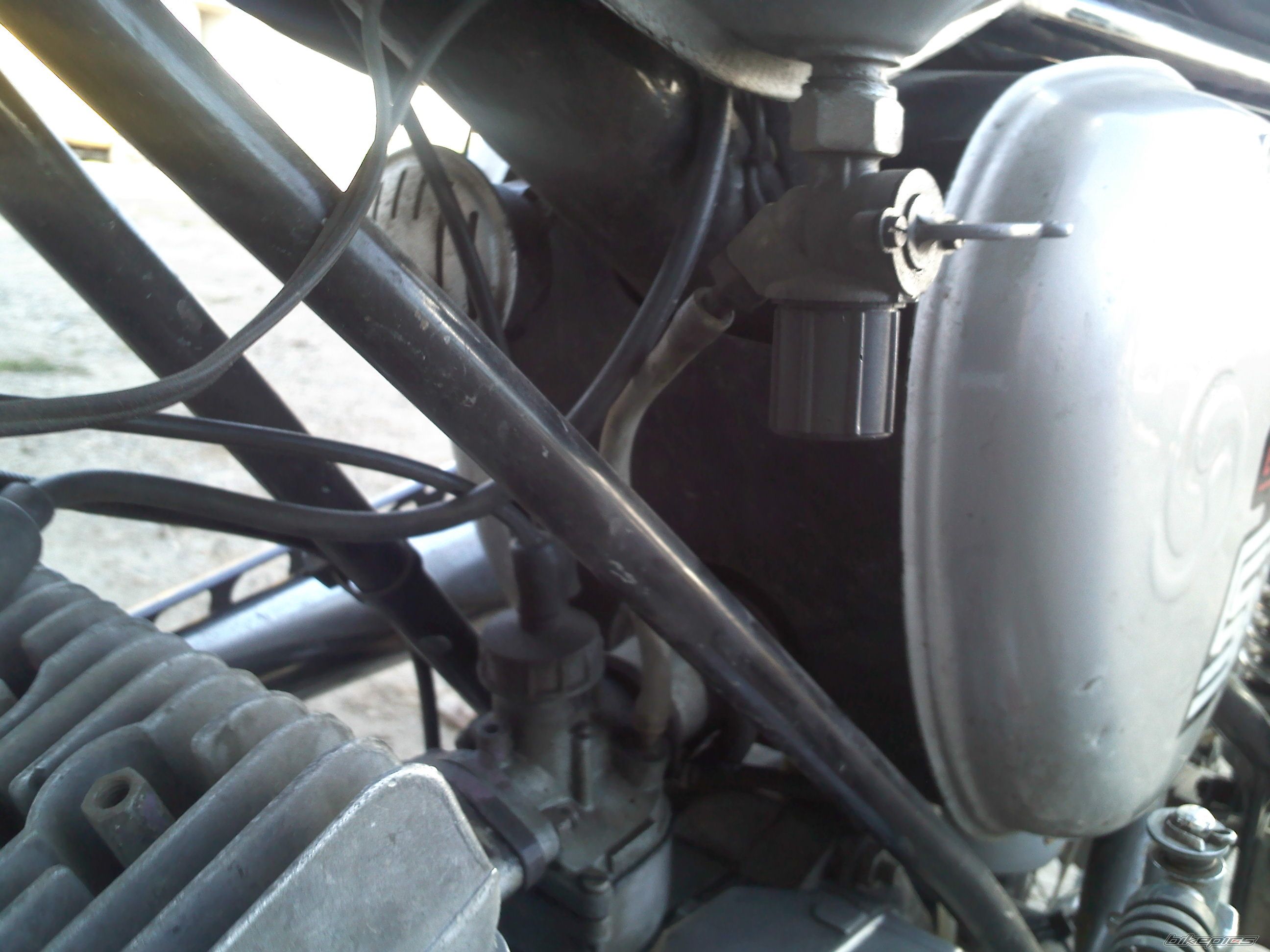 Photo 2448192