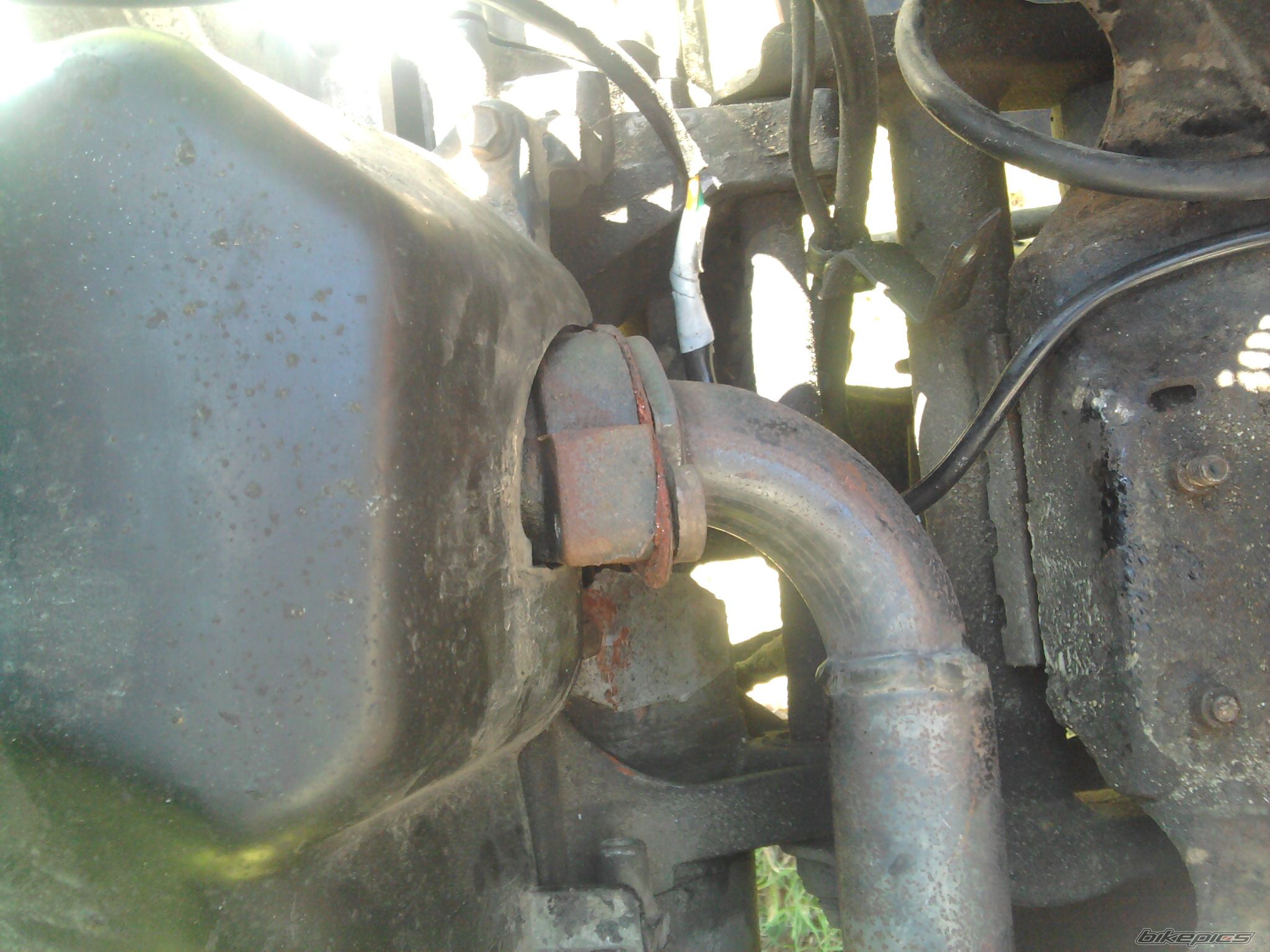 Photo 2448239