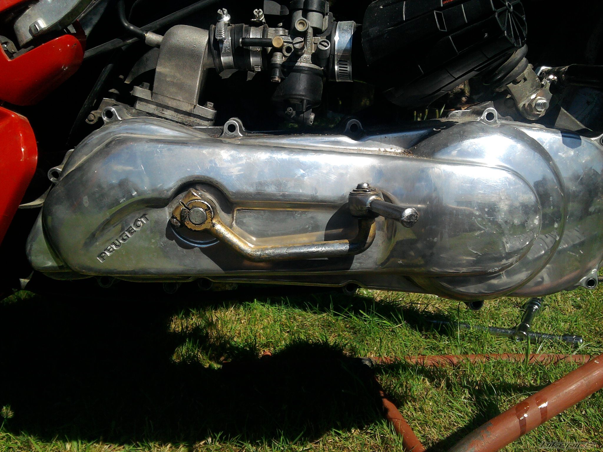 Photo 2448256