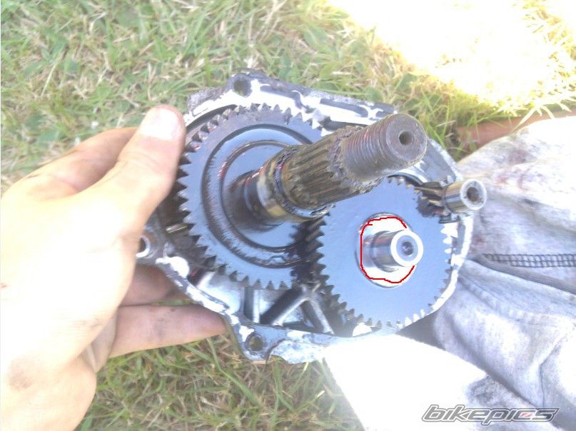 Photo 2448261