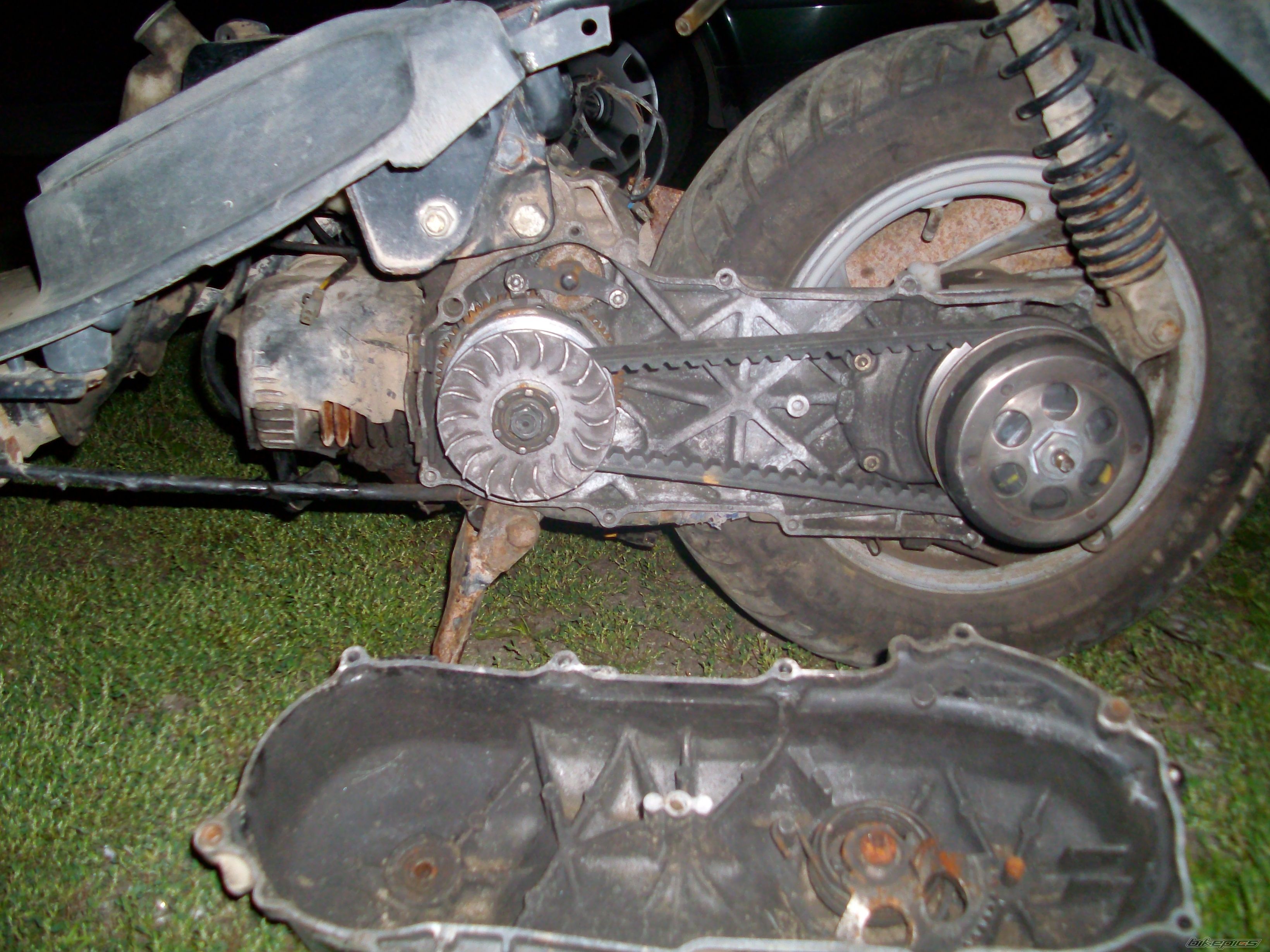 Photo 2448282