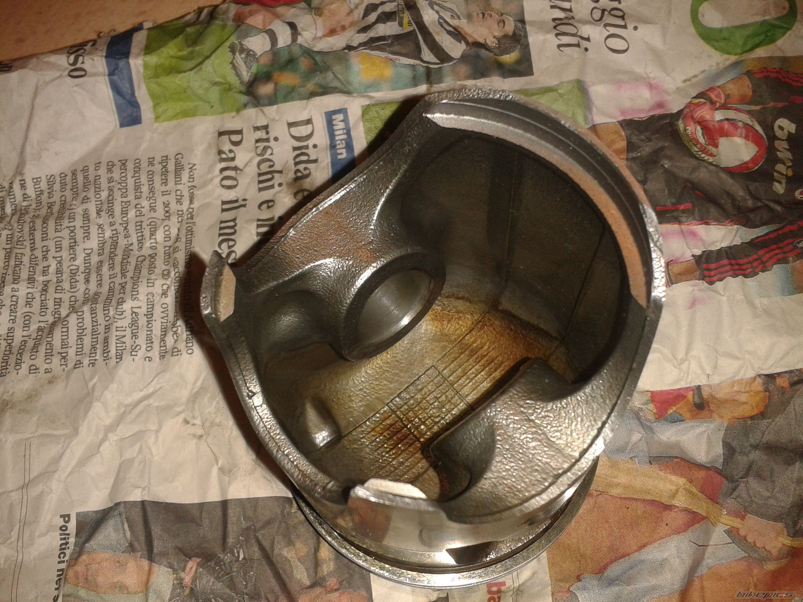 Photo 2448290