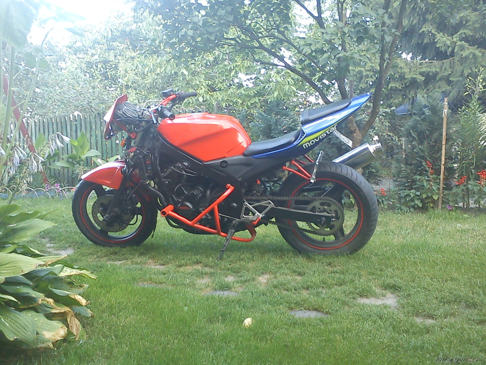 Photo 2448298
