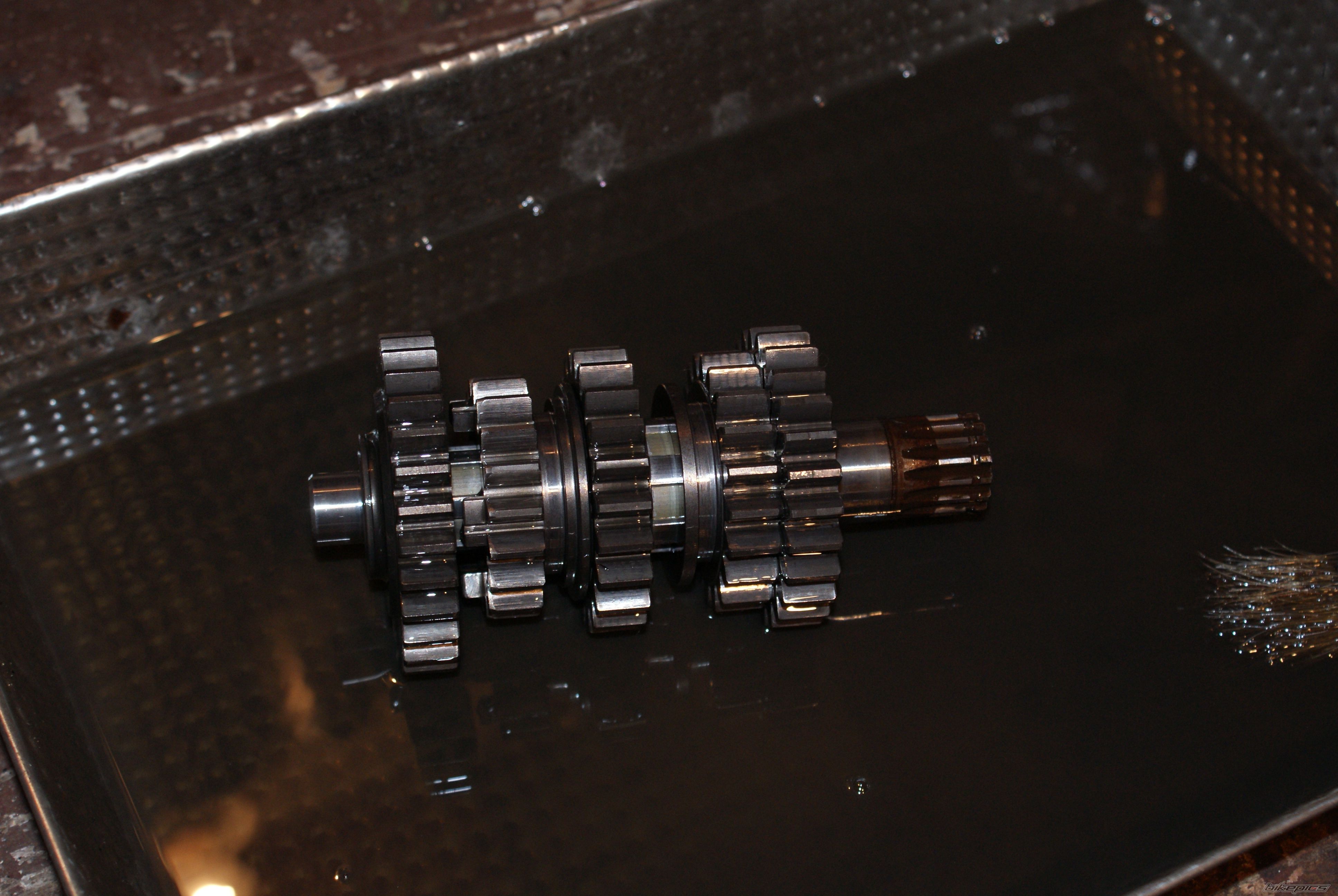 Photo 2448313