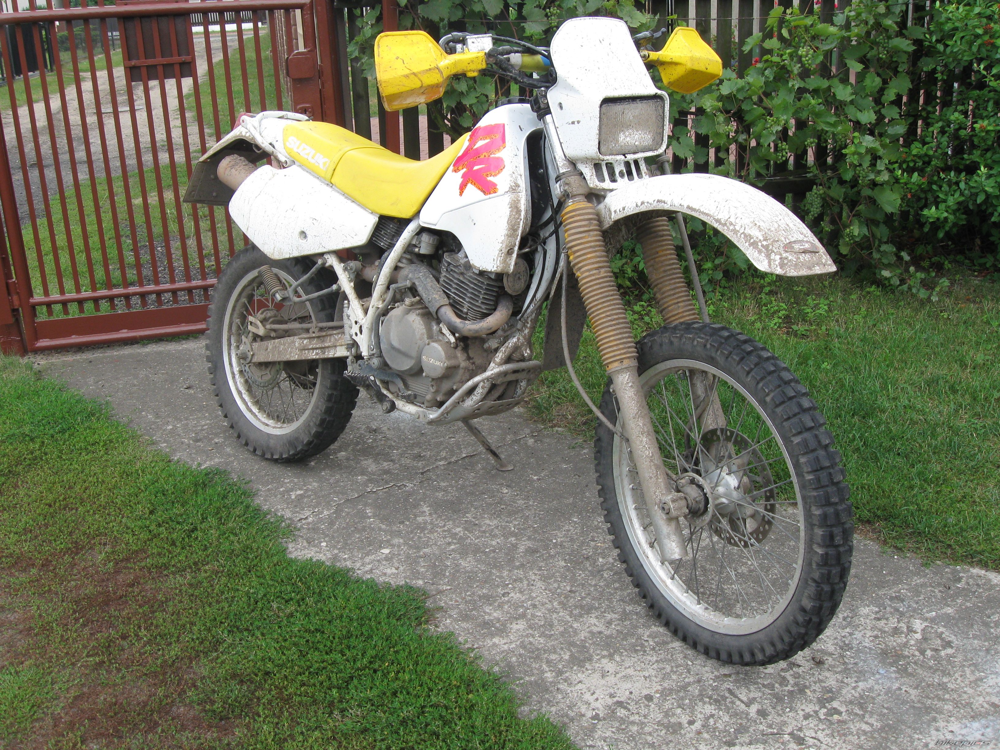 Photo 2448327