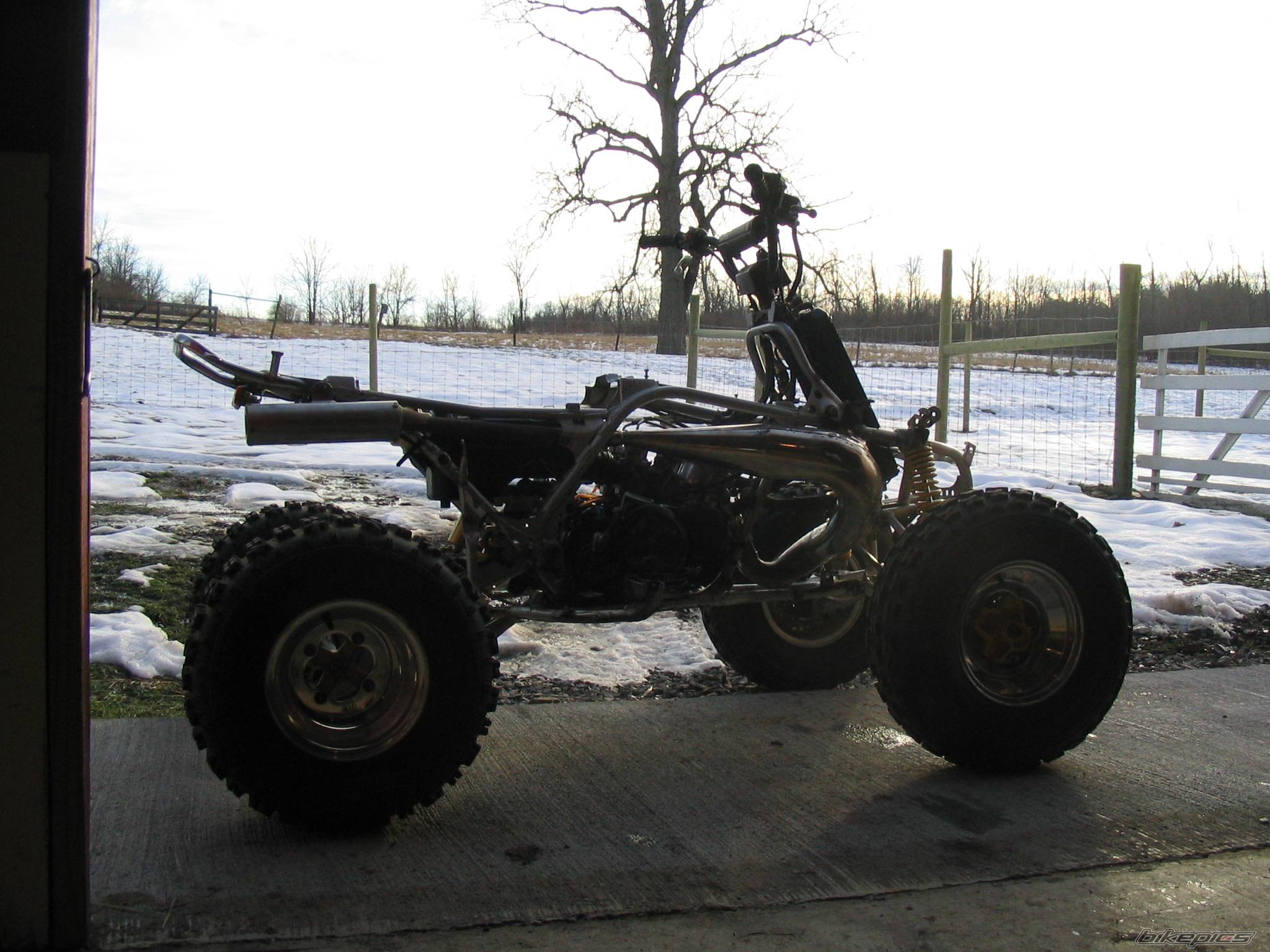 Photo 244836