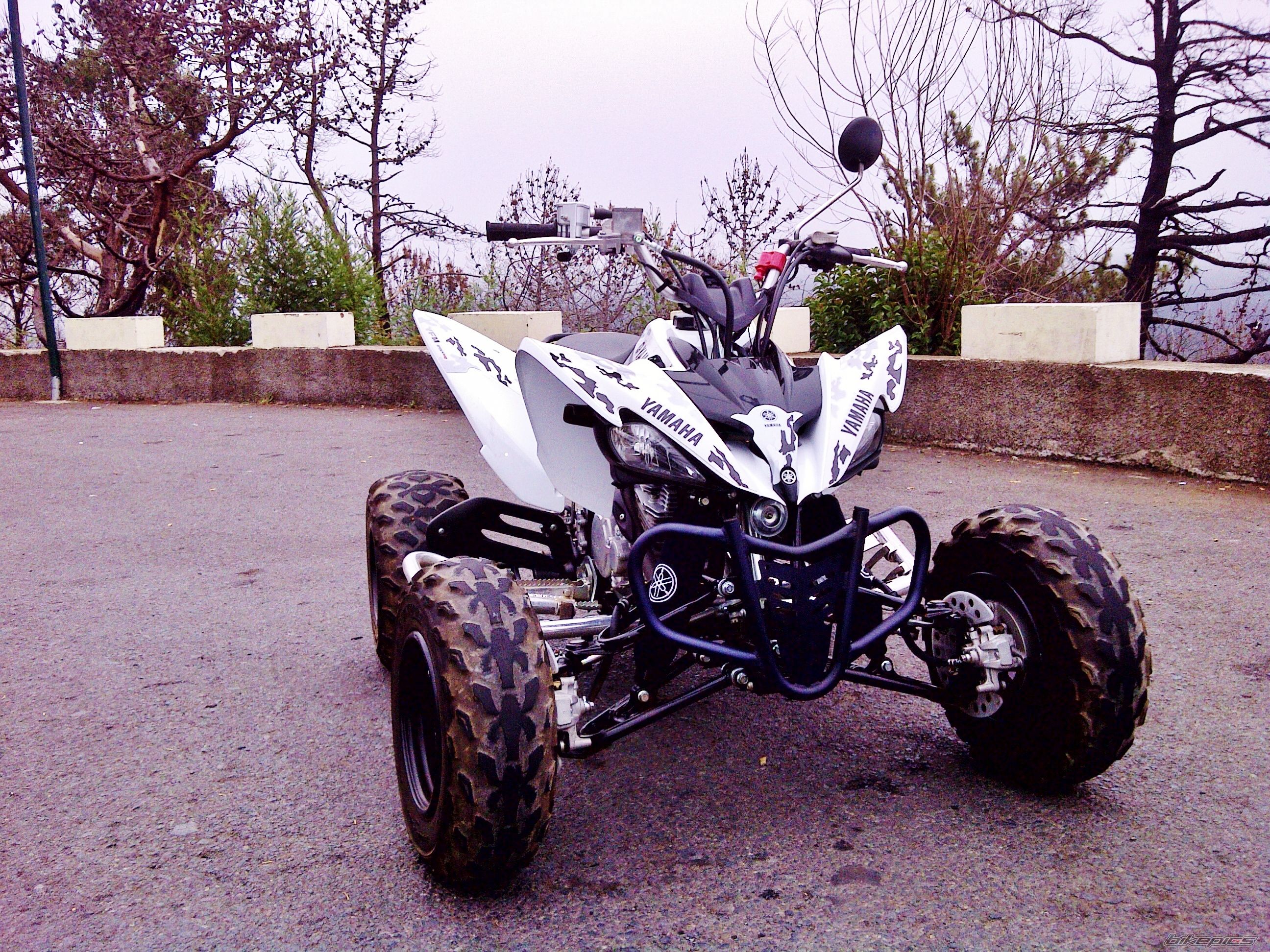 Photo 2448428