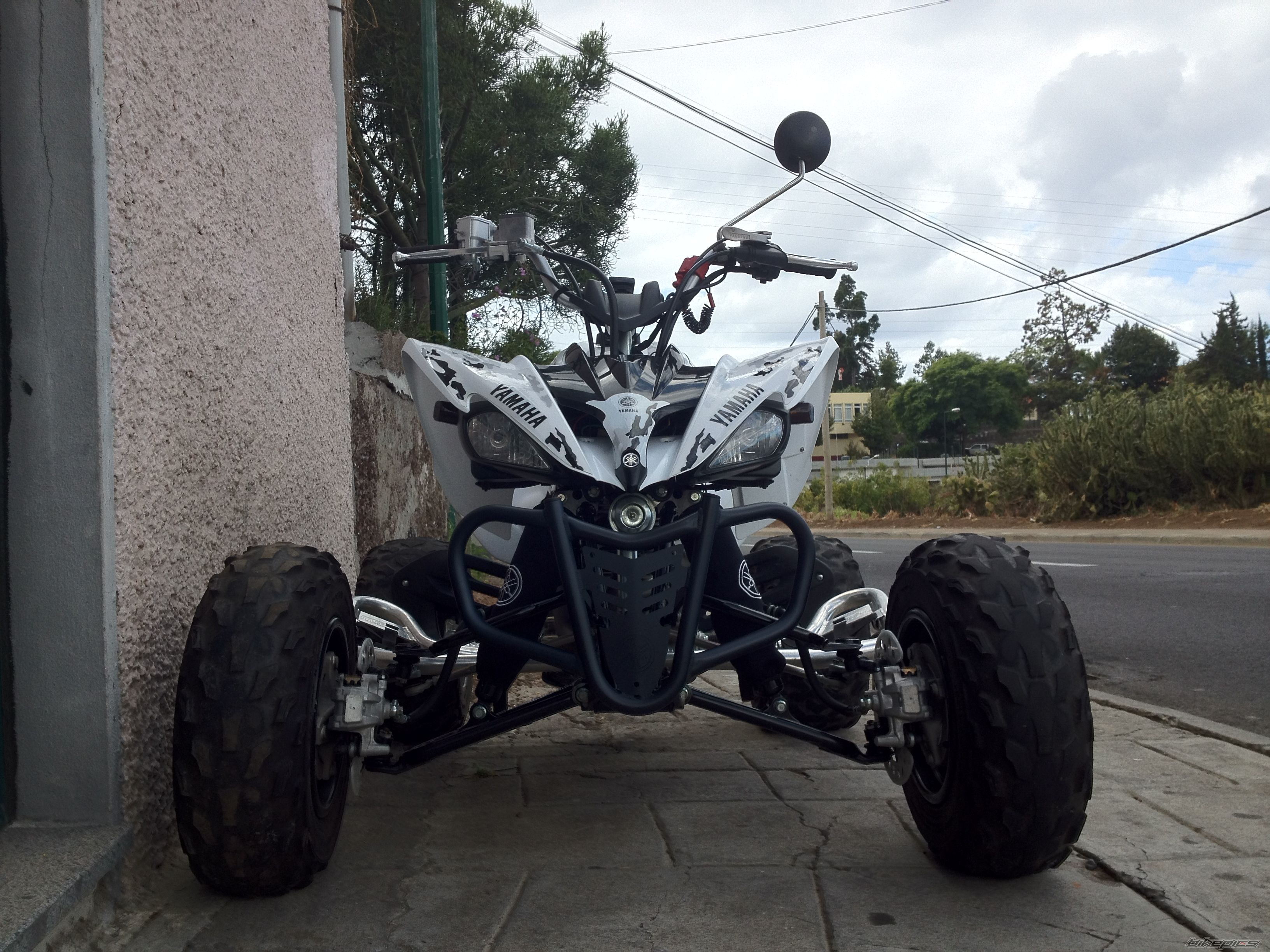 Photo 2448429