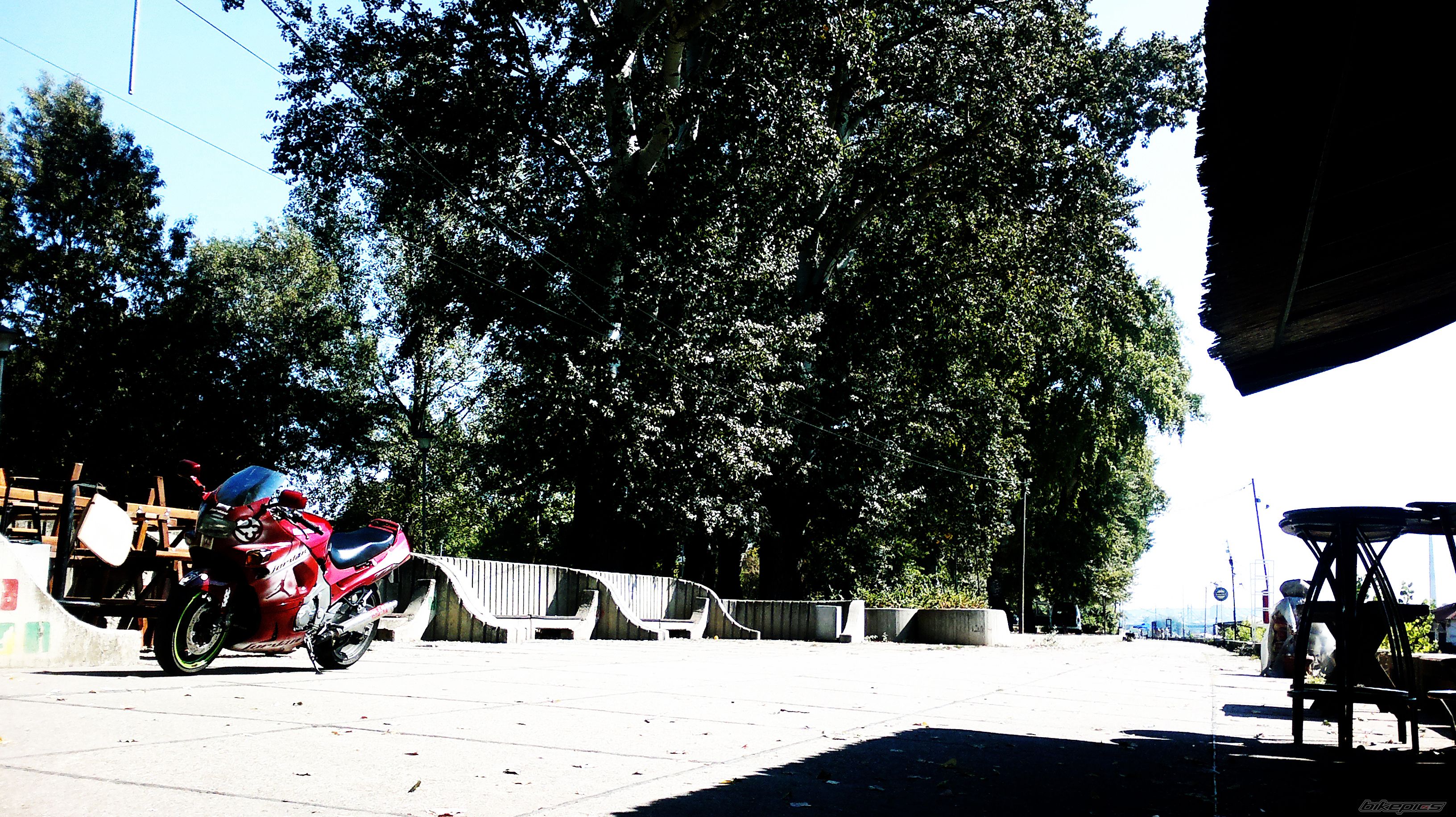 Photo 2448495