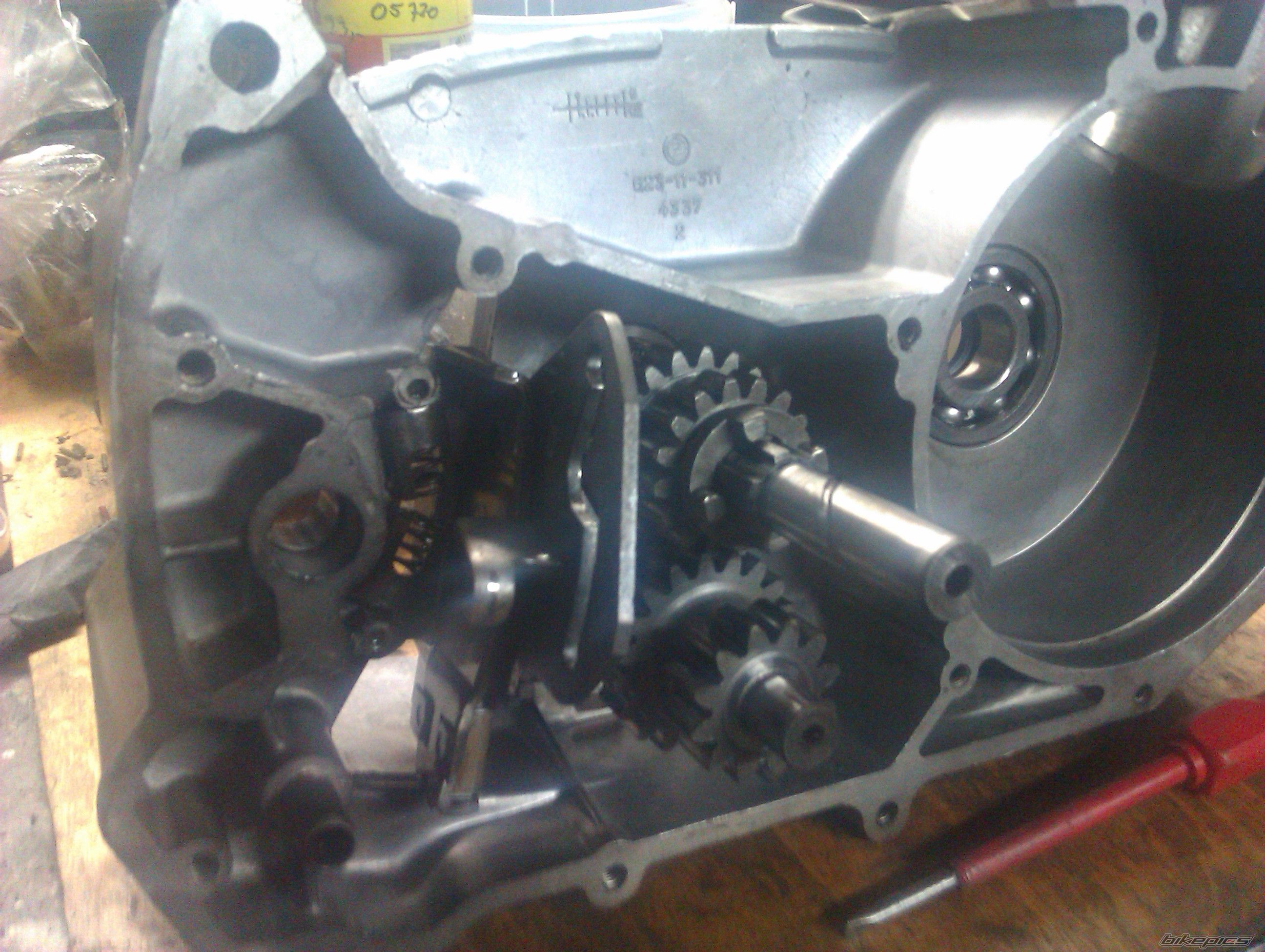 Photo 2448497
