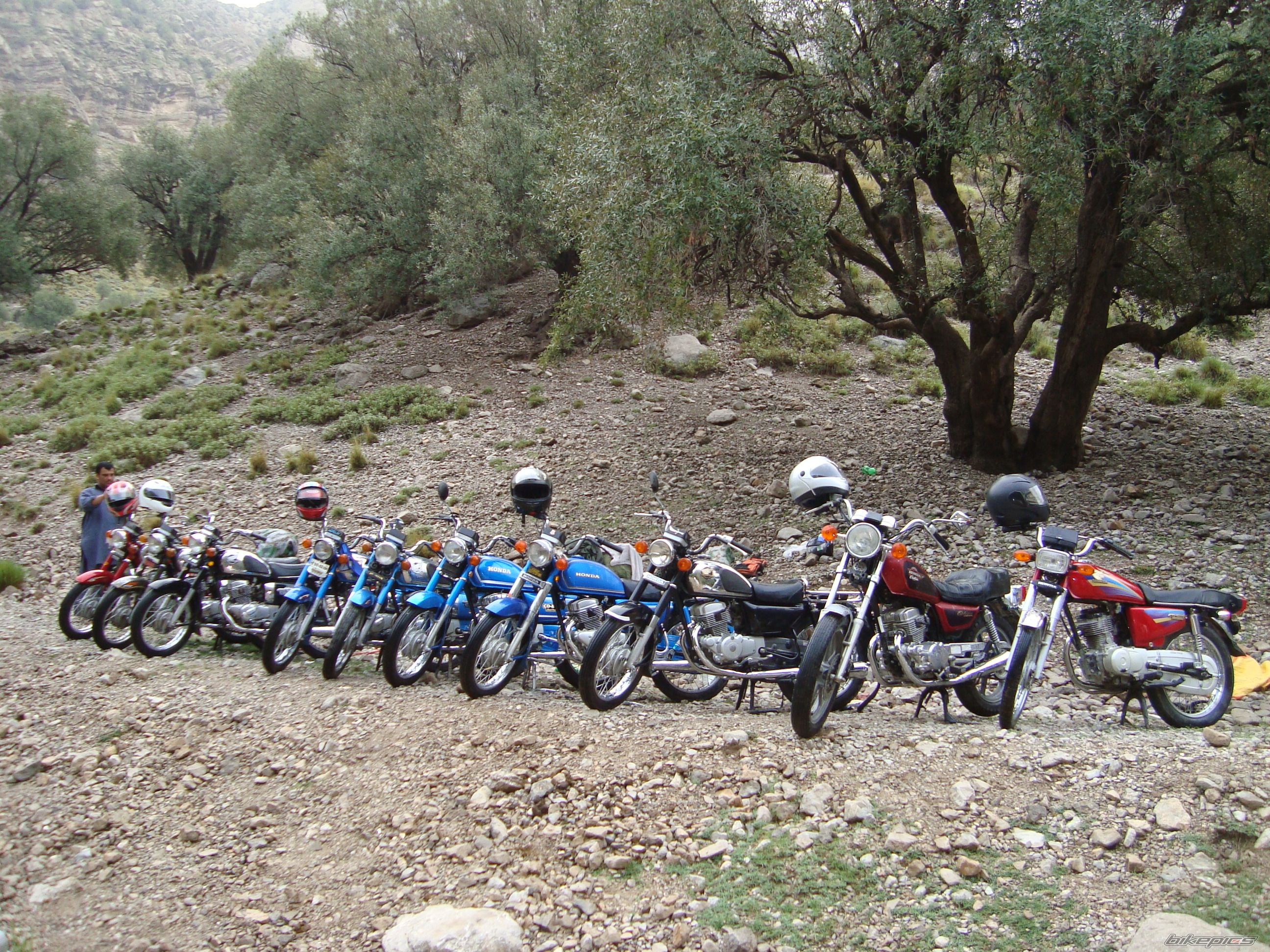 Photo 2448502