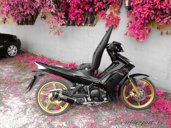 Photo 2448760