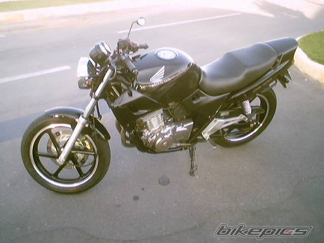Photo 244879