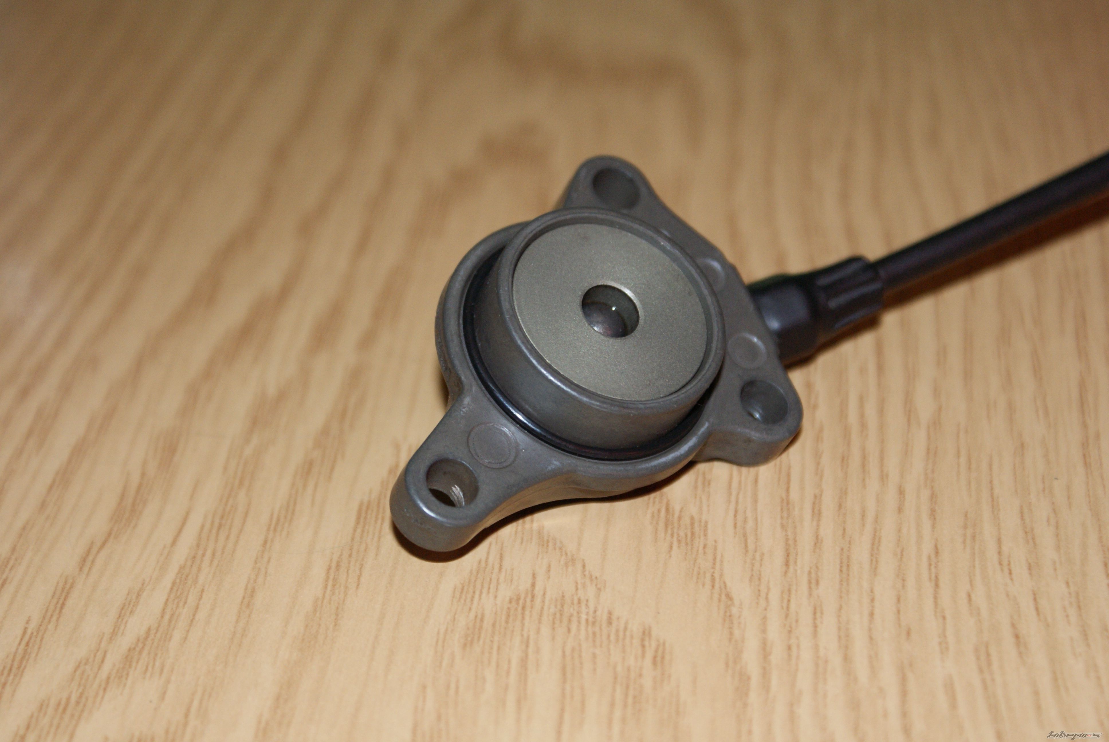 Photo 2448831