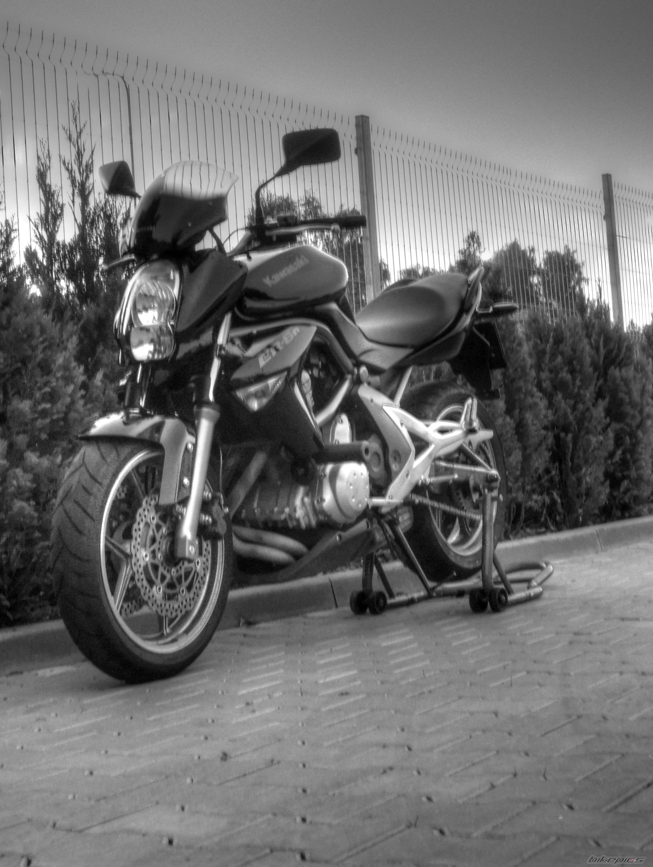 Photo 2448860