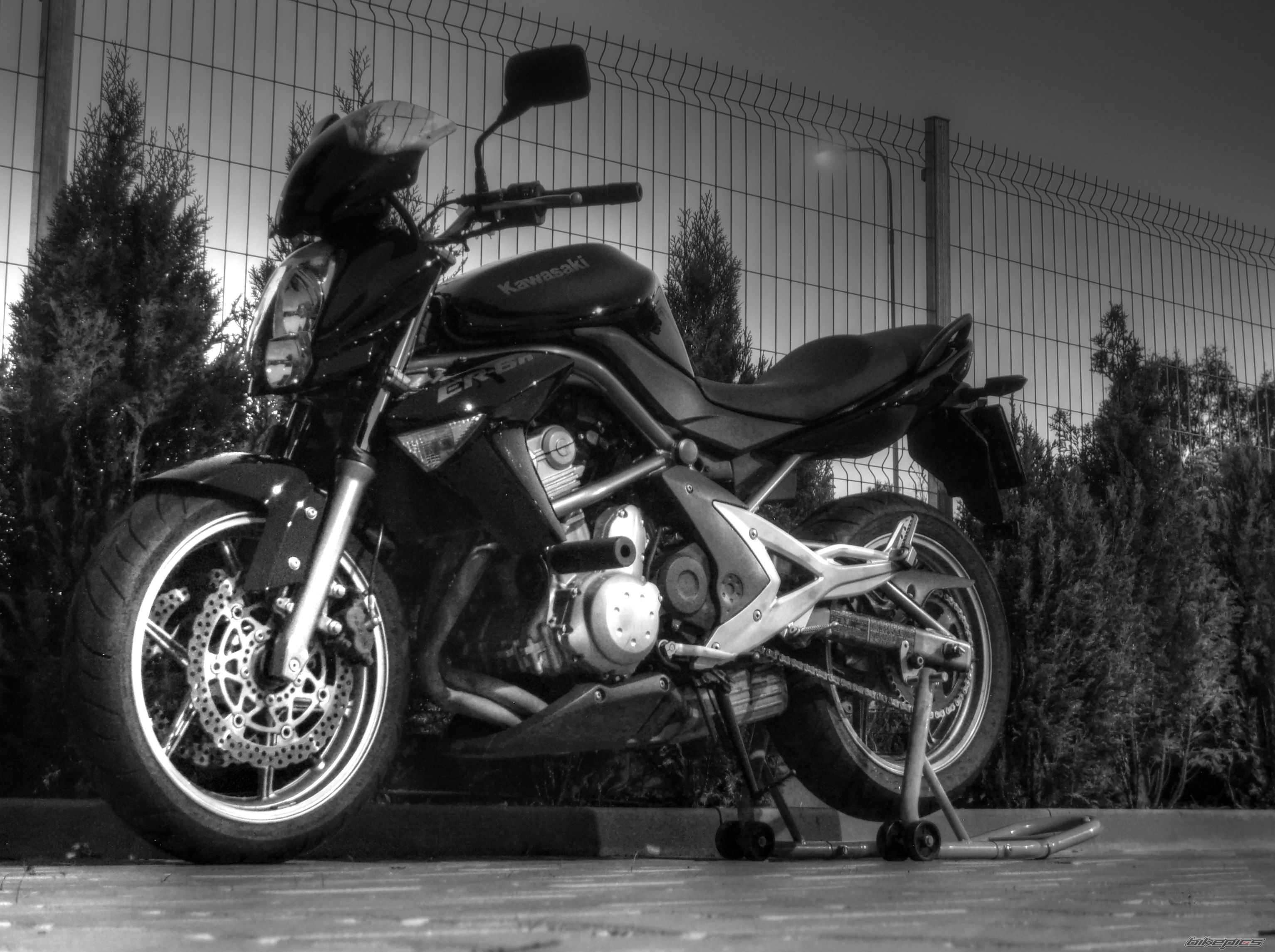 Photo 2448862