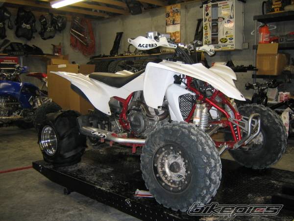 Photo 244887