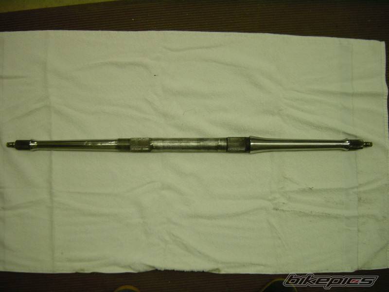 Photo 244889