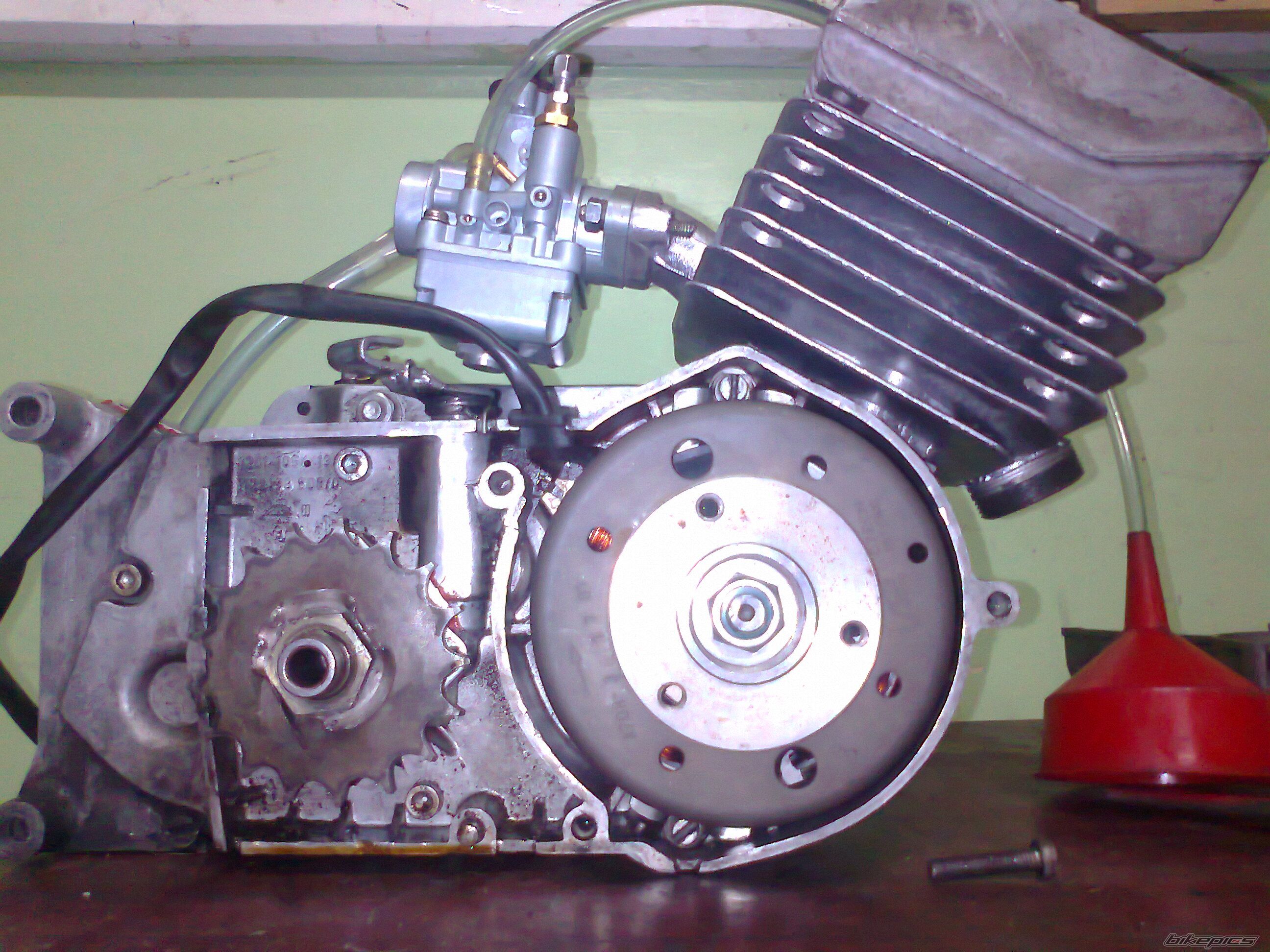 Photo 2448953