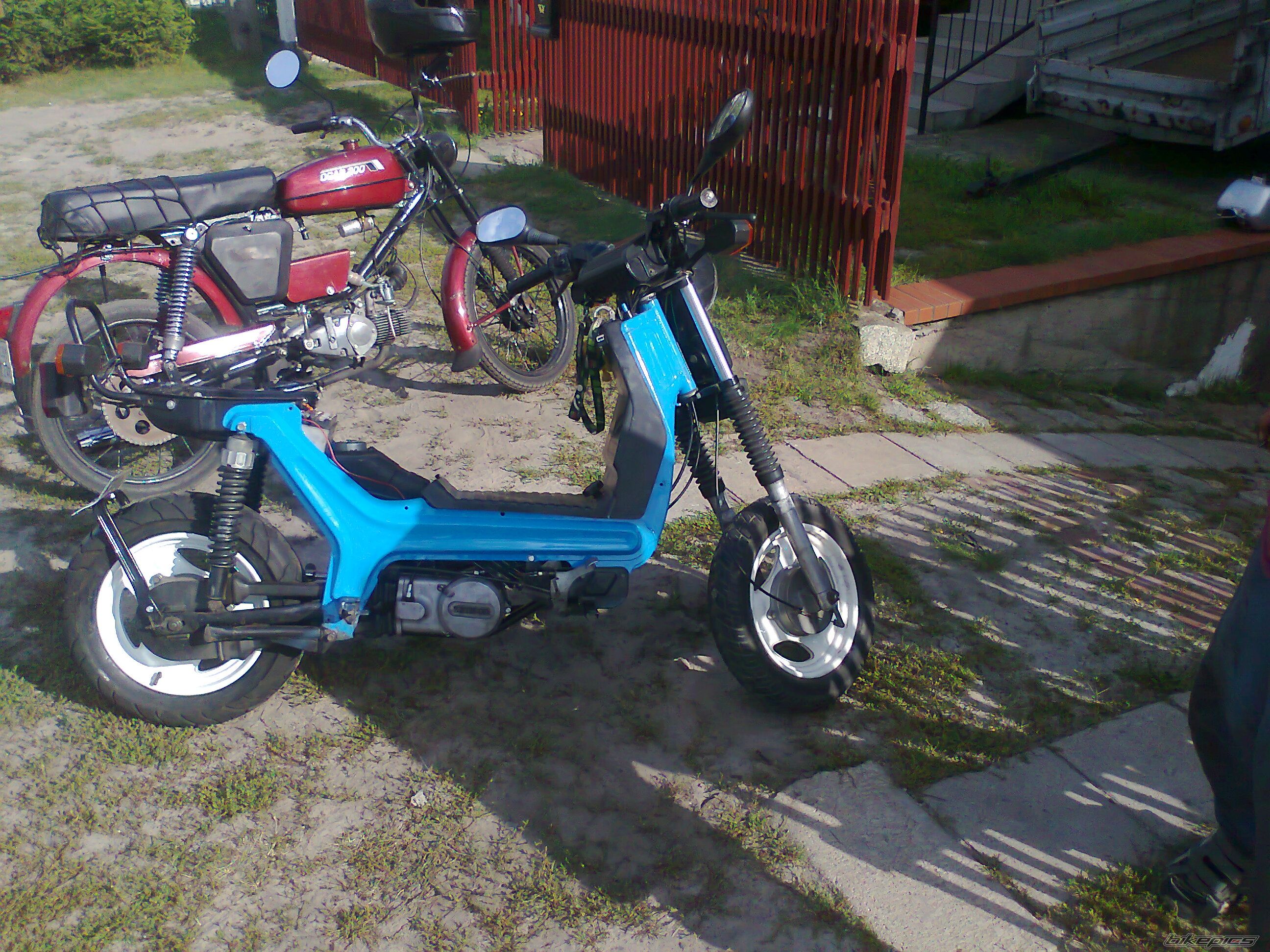 Photo 2448958