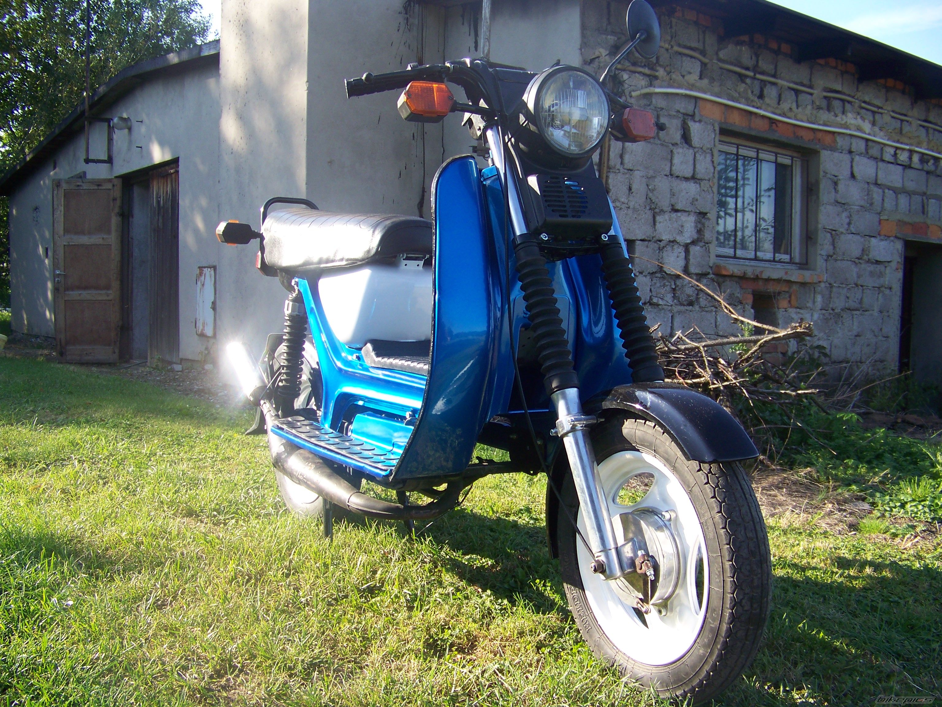 Photo 2448985
