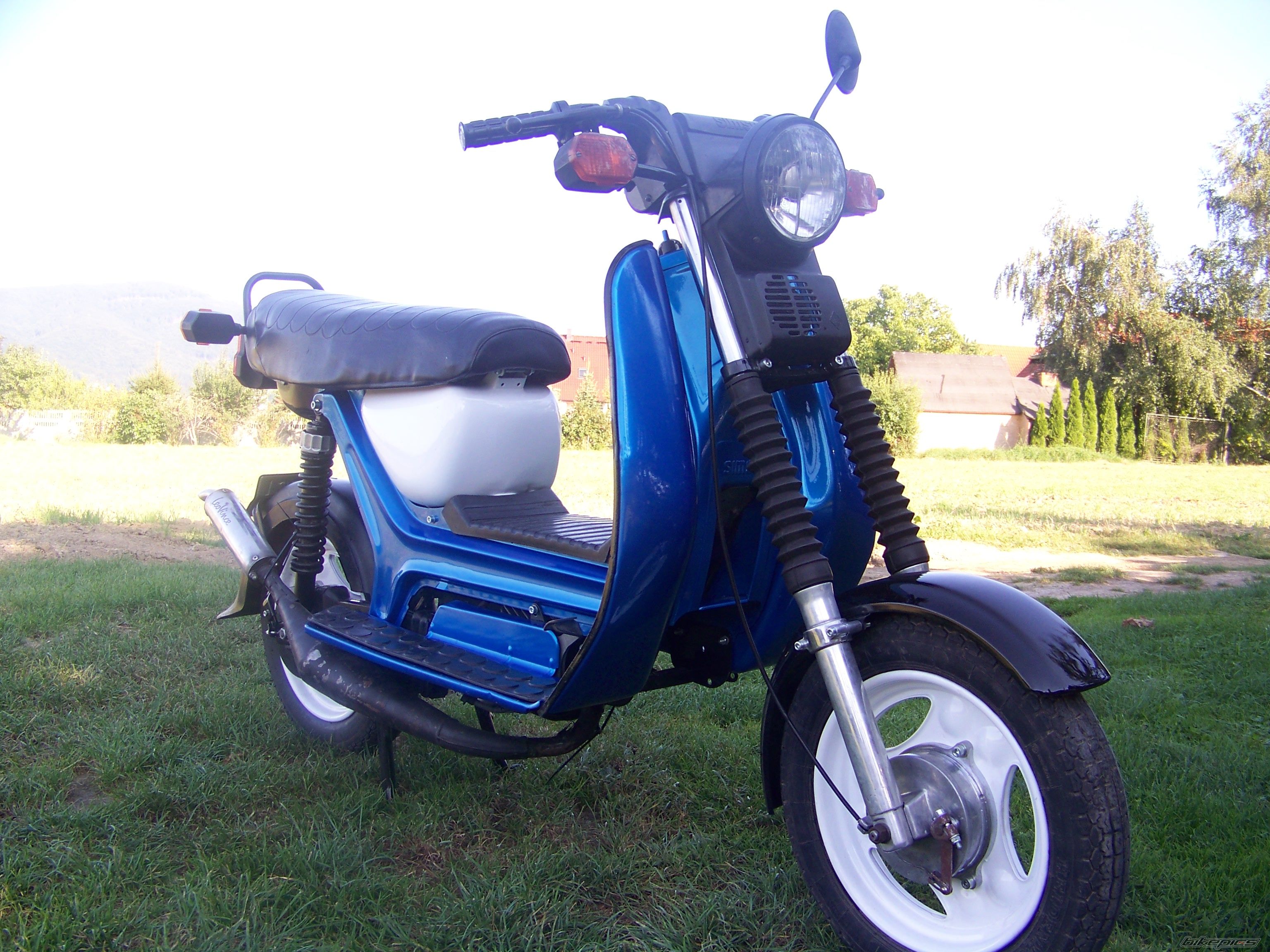 Photo 2448989
