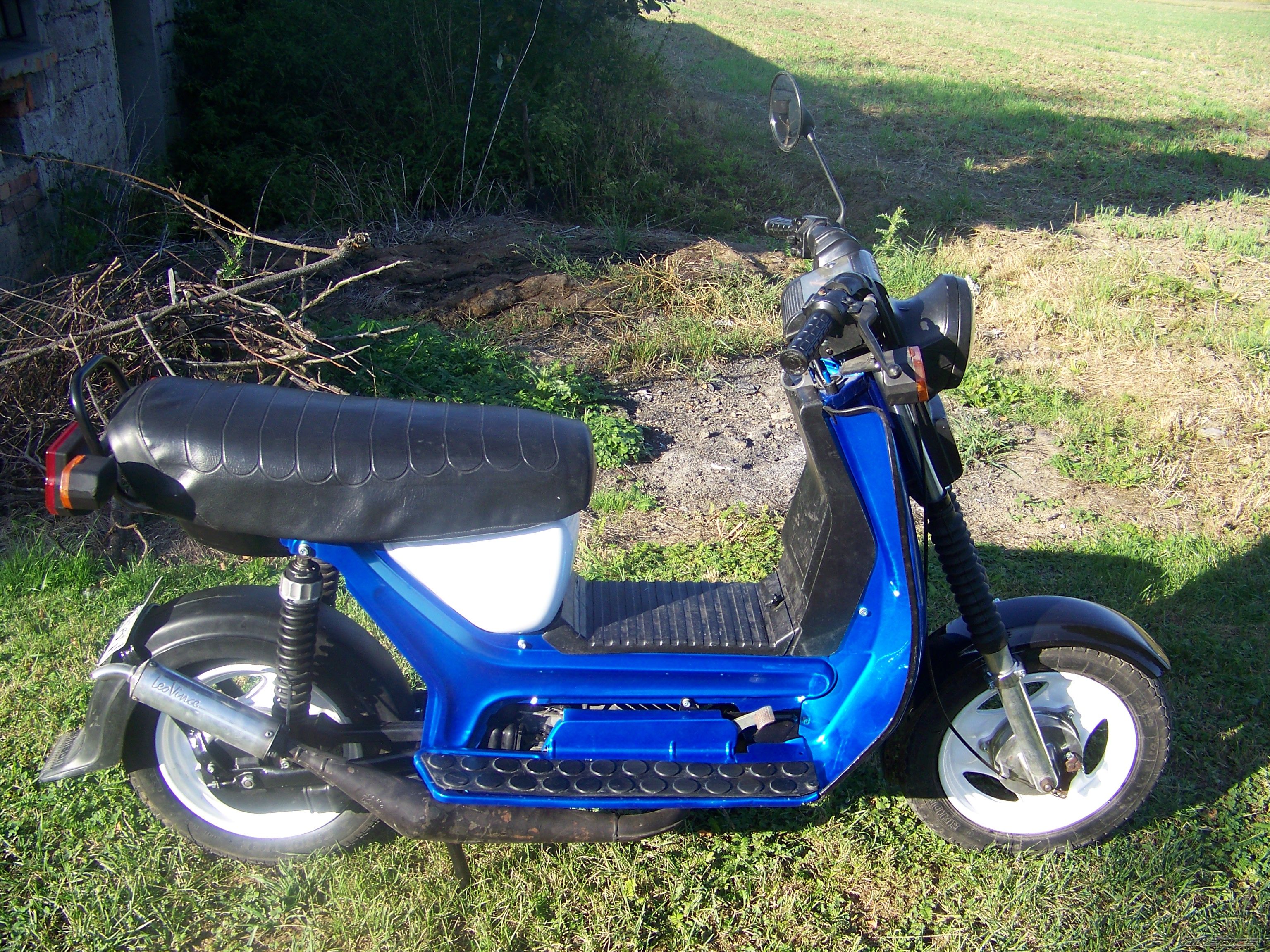 Photo 2448992