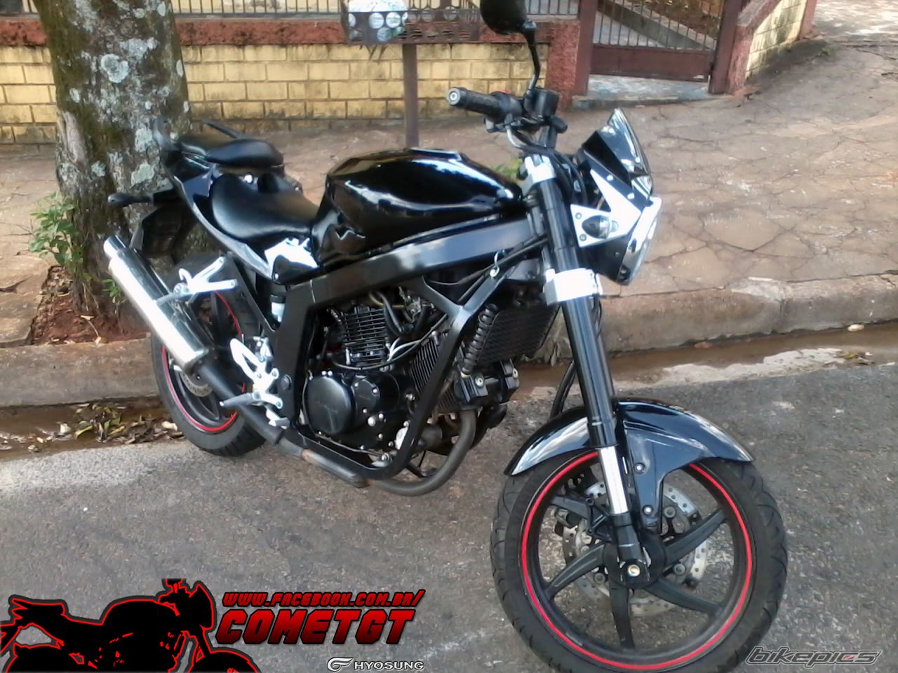 Photo 2448997