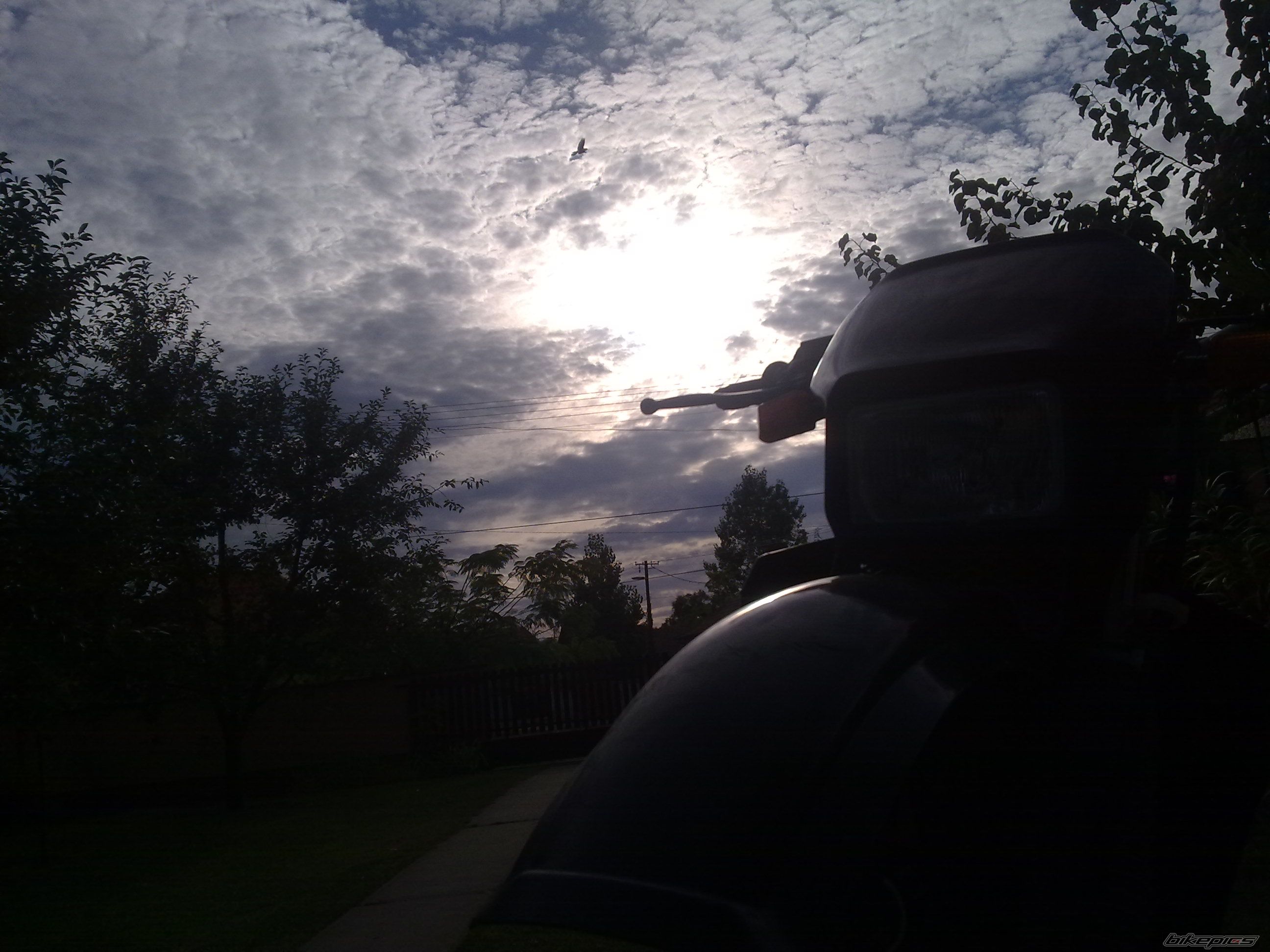 Bike Photo 2449035