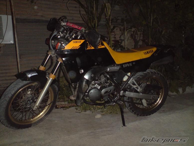 Photo 2449055