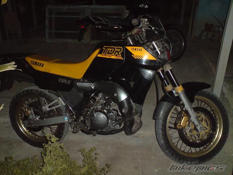 Photo 2449058