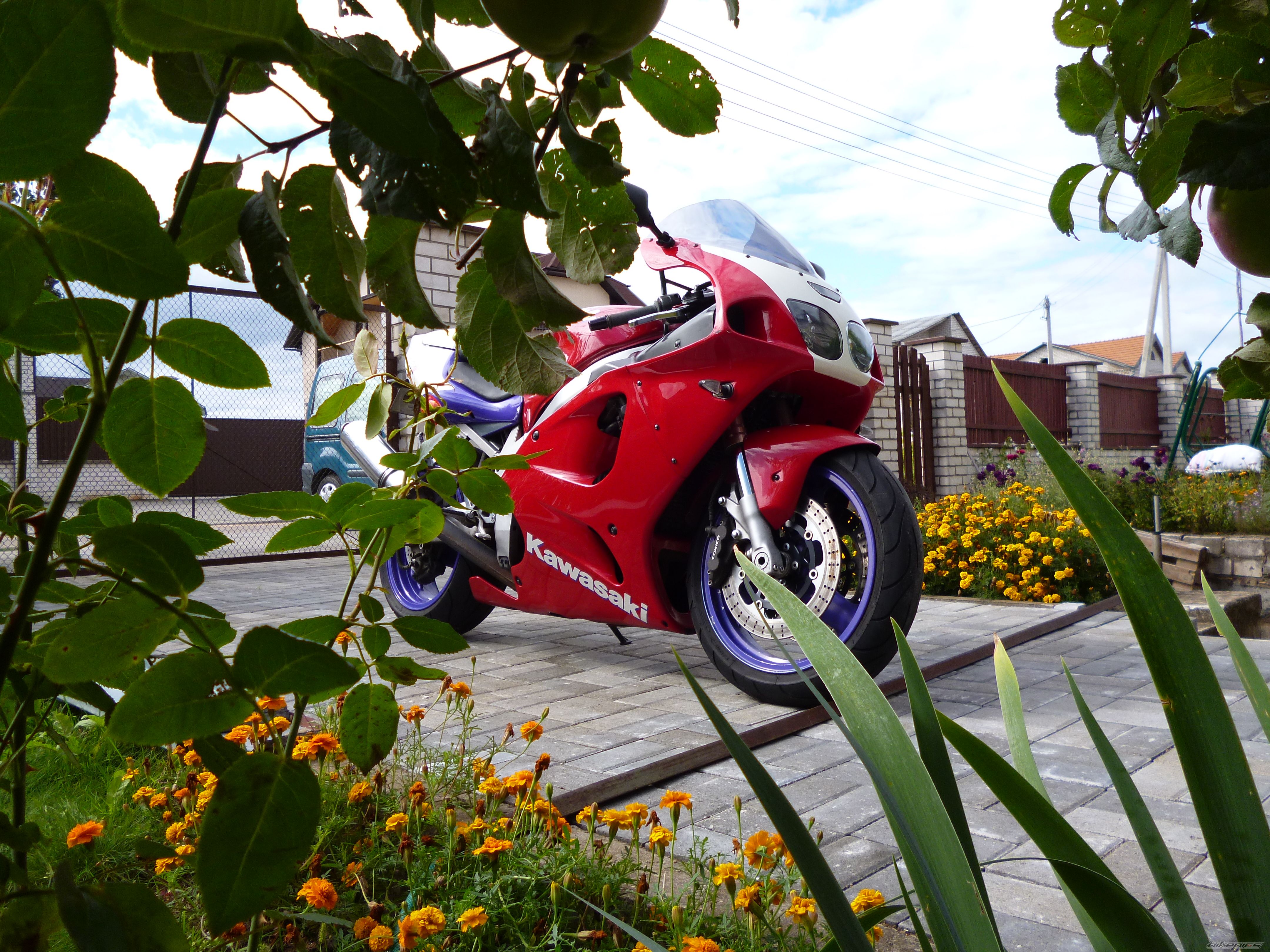 Photo 2449085