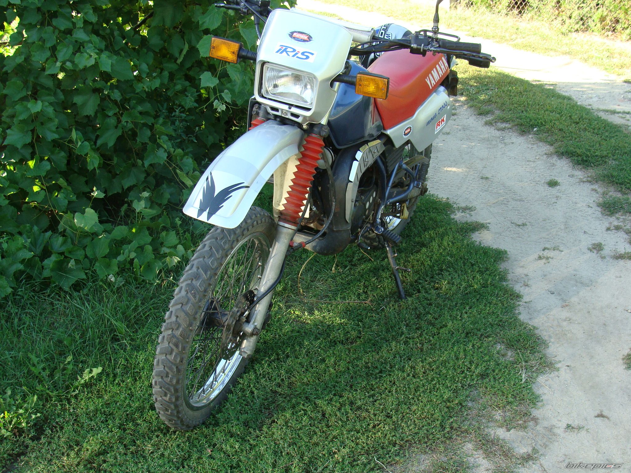 Photo 2449093