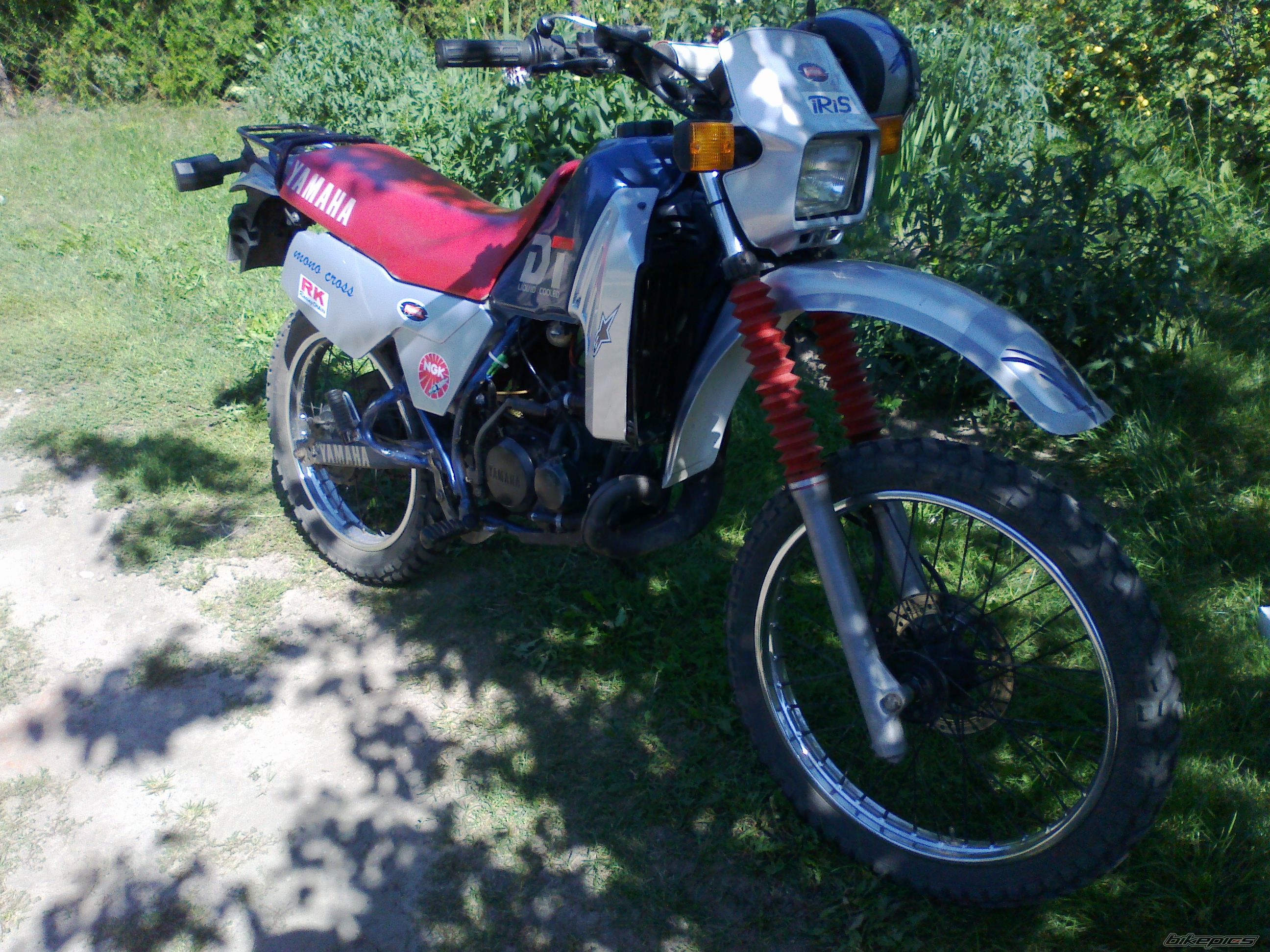 Photo 2449094