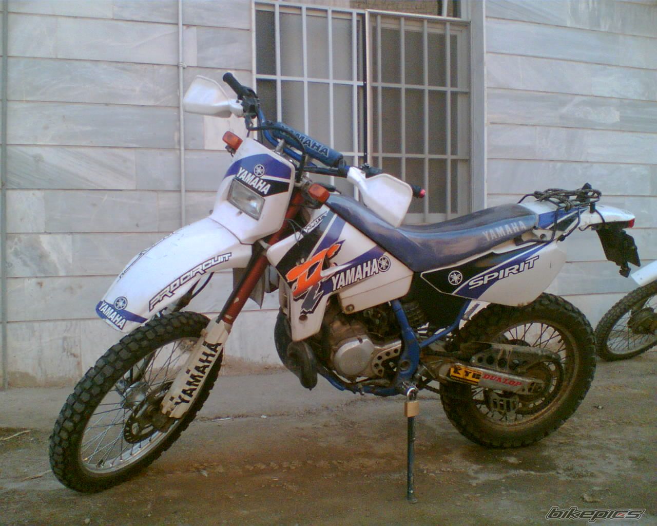 Bike Photo 2449209