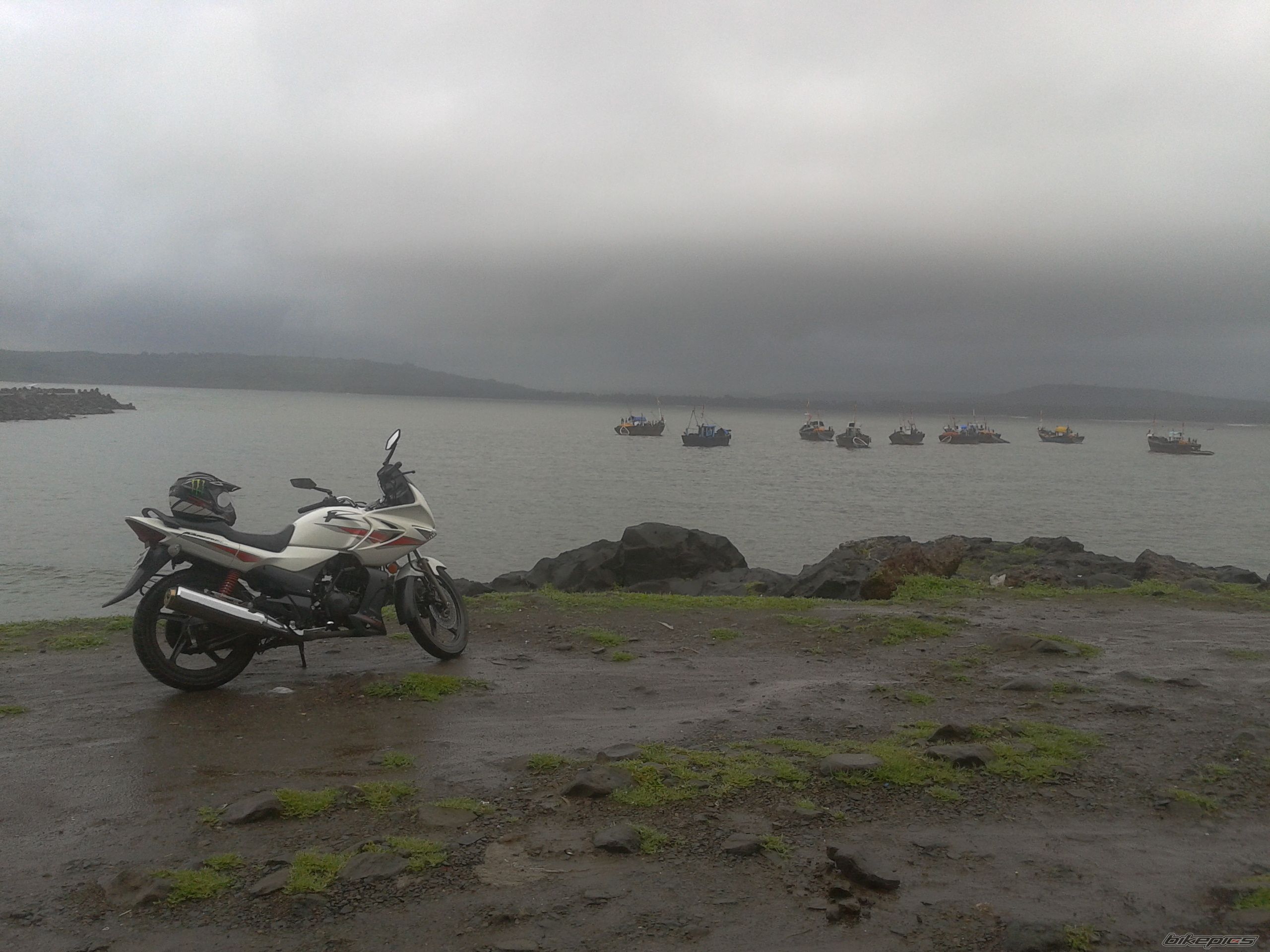 Photo 2449217