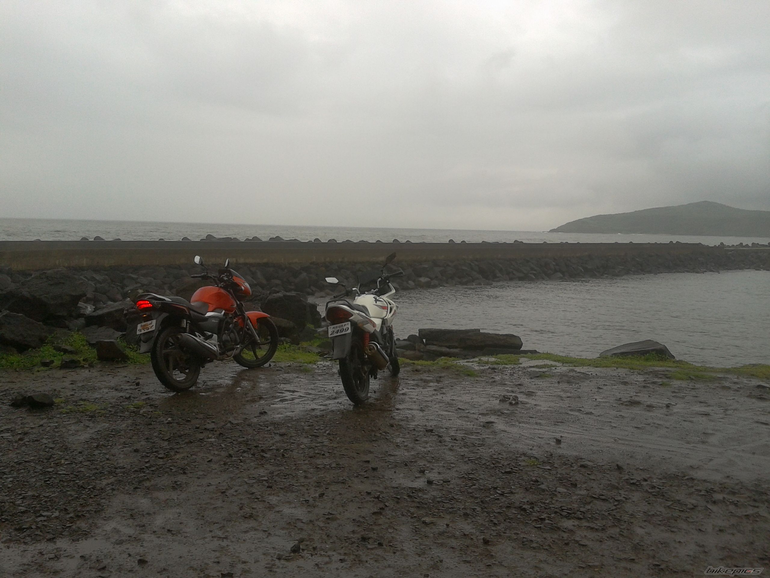 Photo 2449219