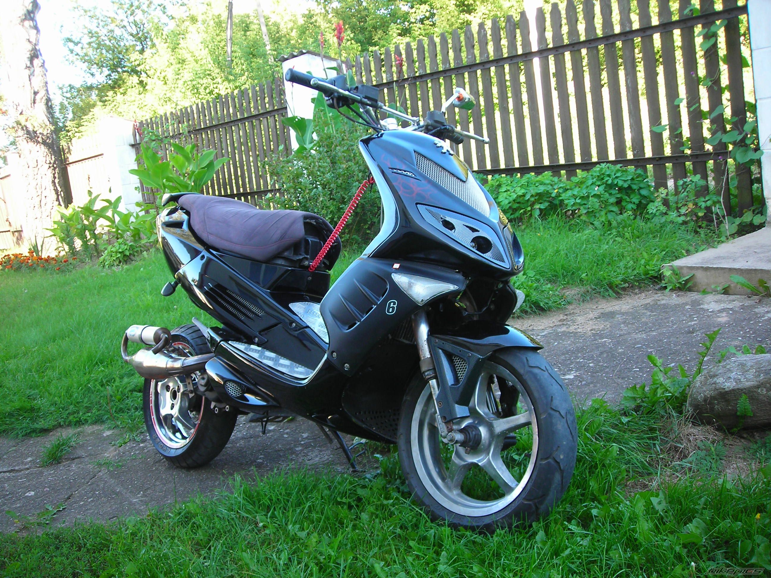 Photo 2449280