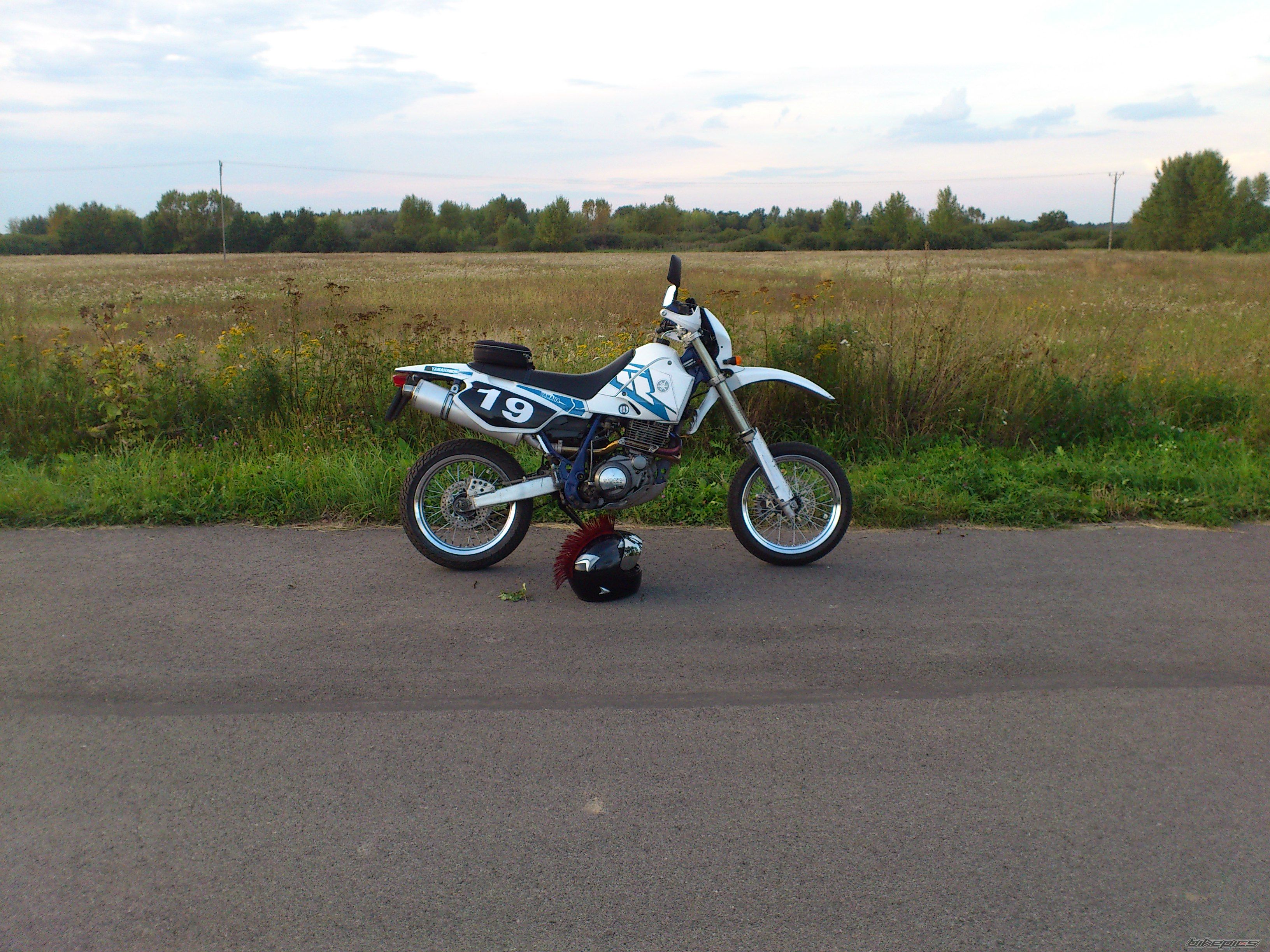 Photo 2449287
