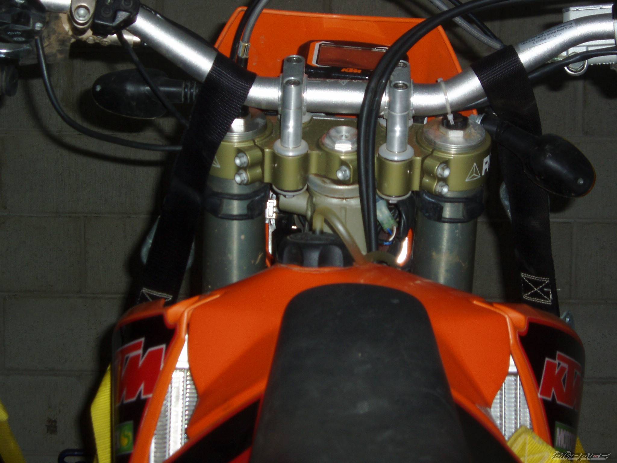Photo 244929