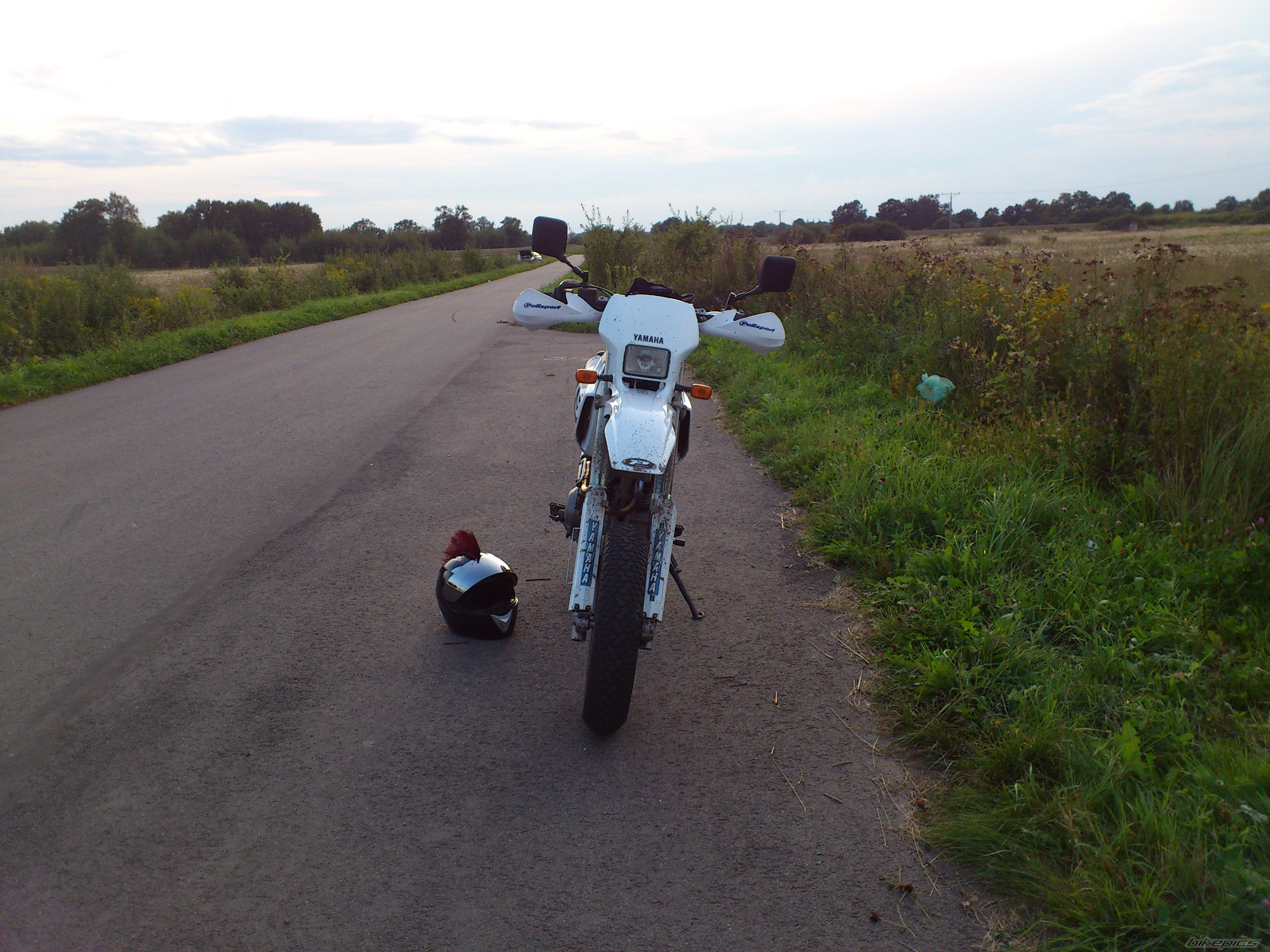 Photo 2449290