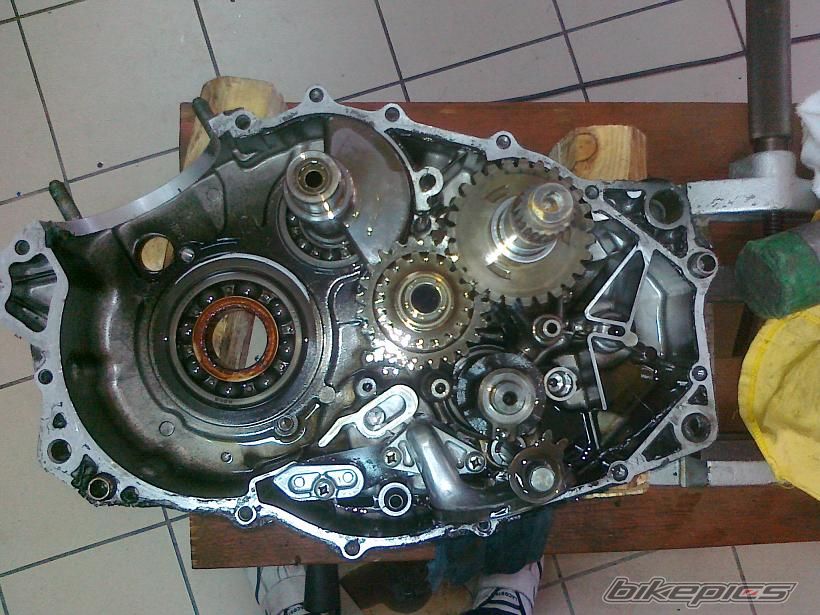 Photo 2449310