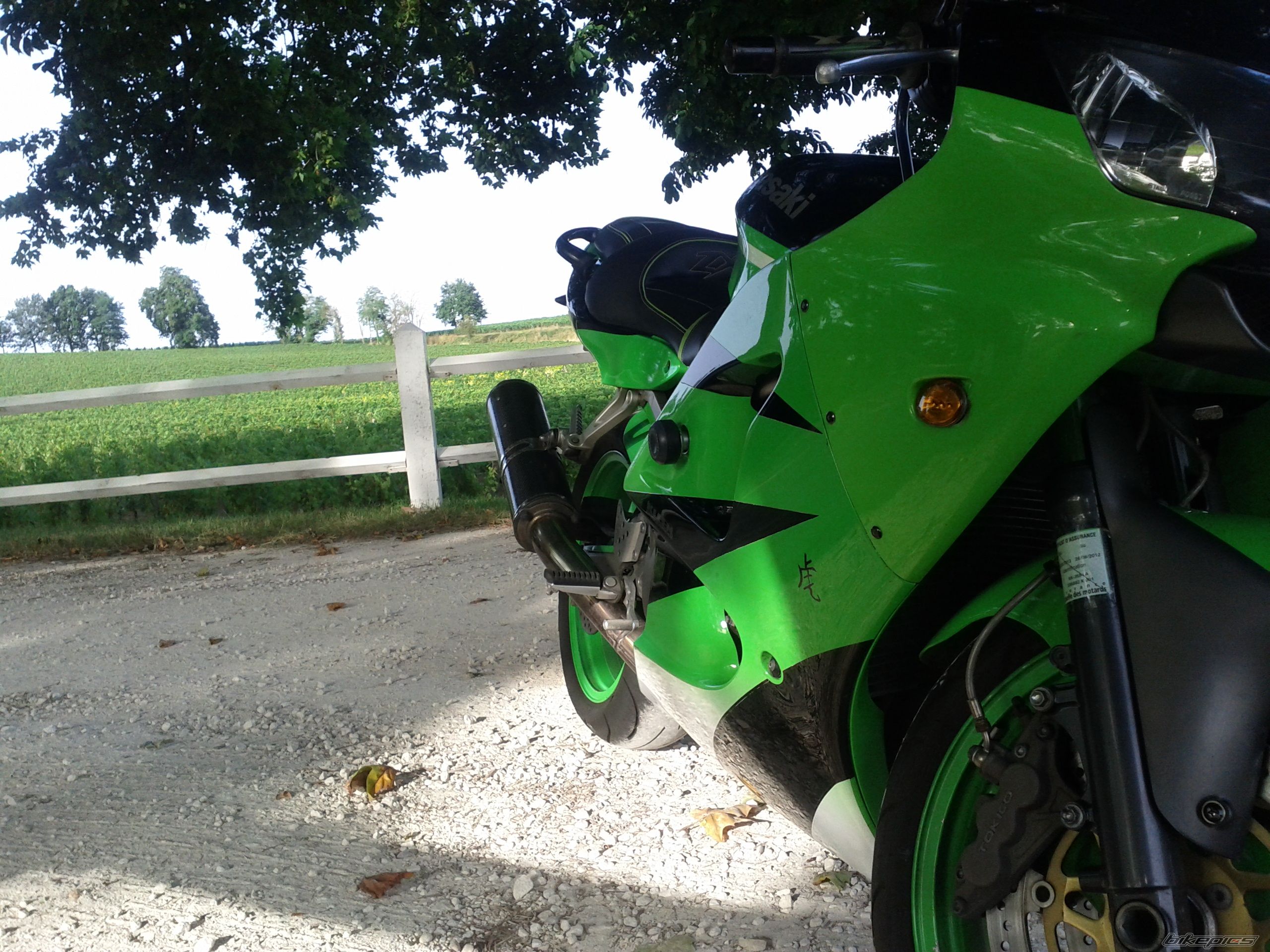 Photo 2449315