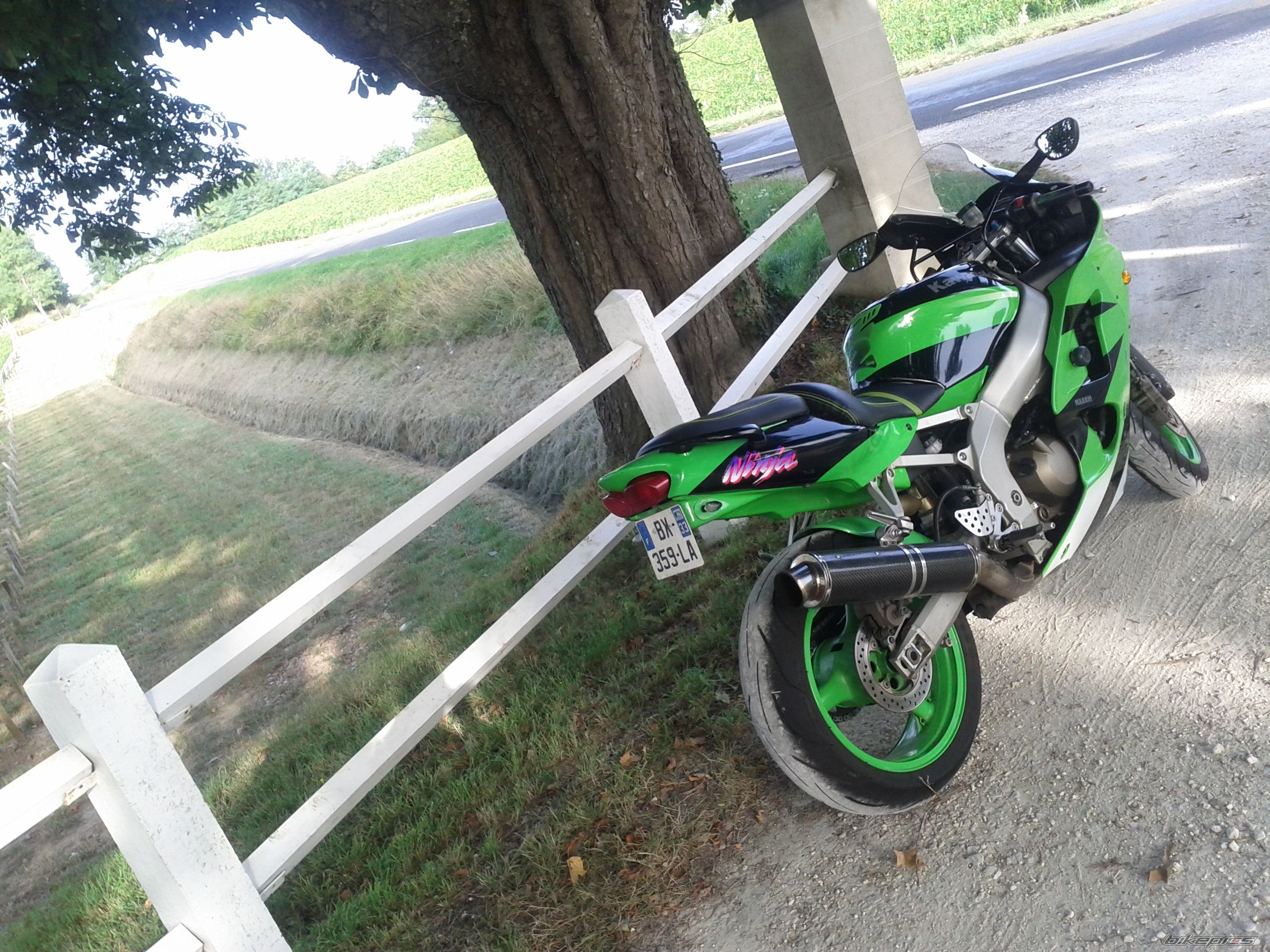 Photo 2449320