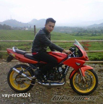 Photo 2449397